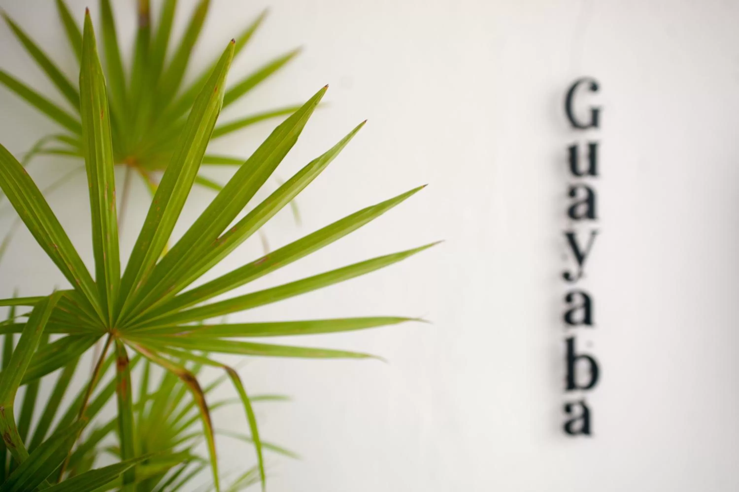 Junior Suite with Terrace in Latino Hotel Boutique