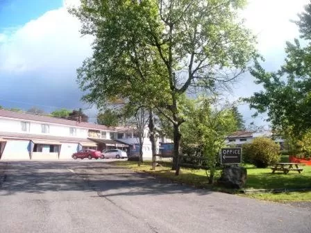 Property Building in Alpine Lodge