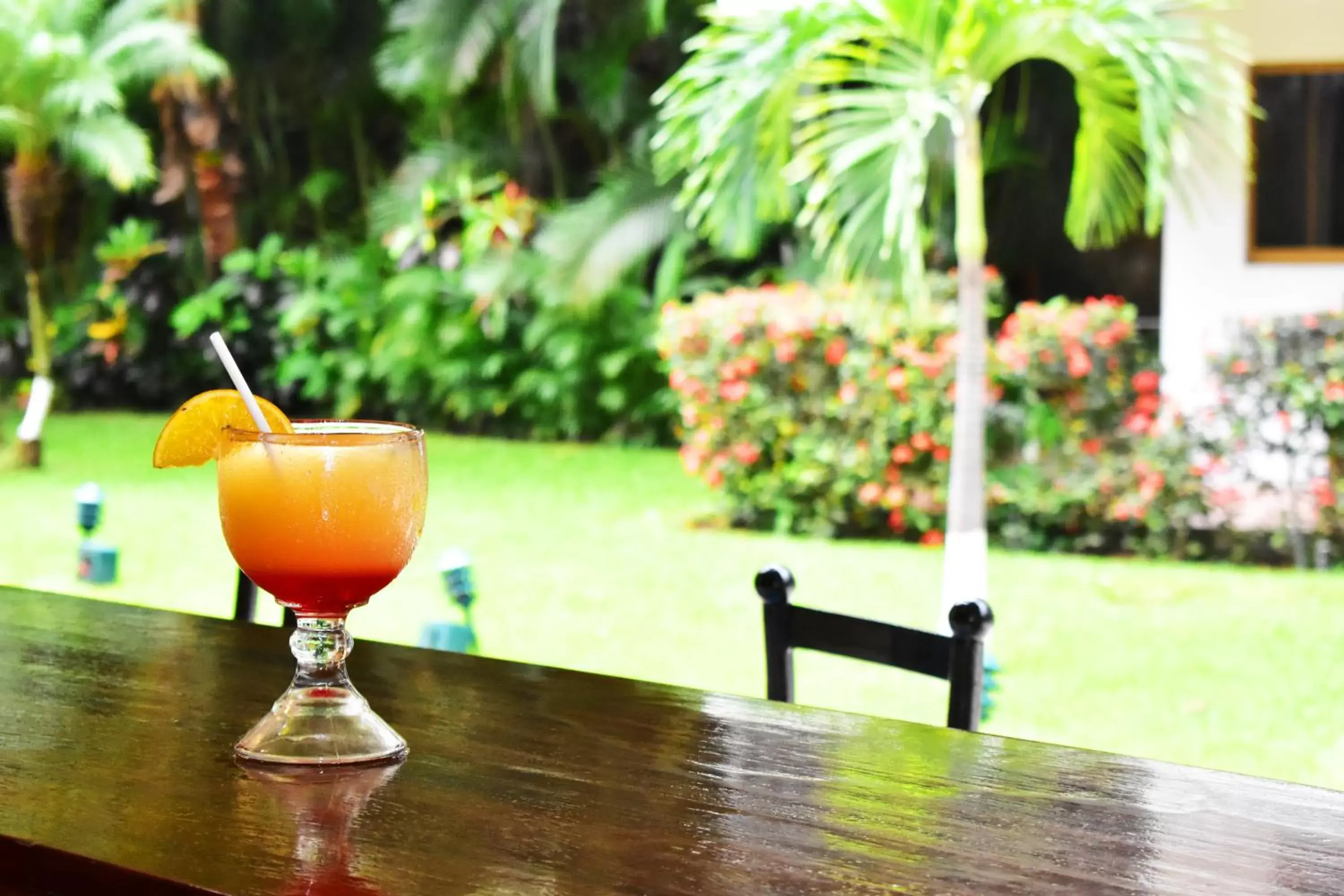 Garden in Hotel Casa Iguana Mismaloya