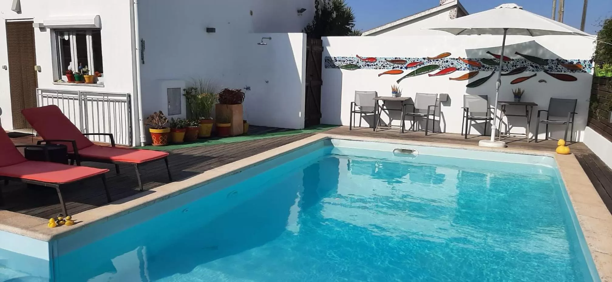 Swimming pool in Casa Coloridos