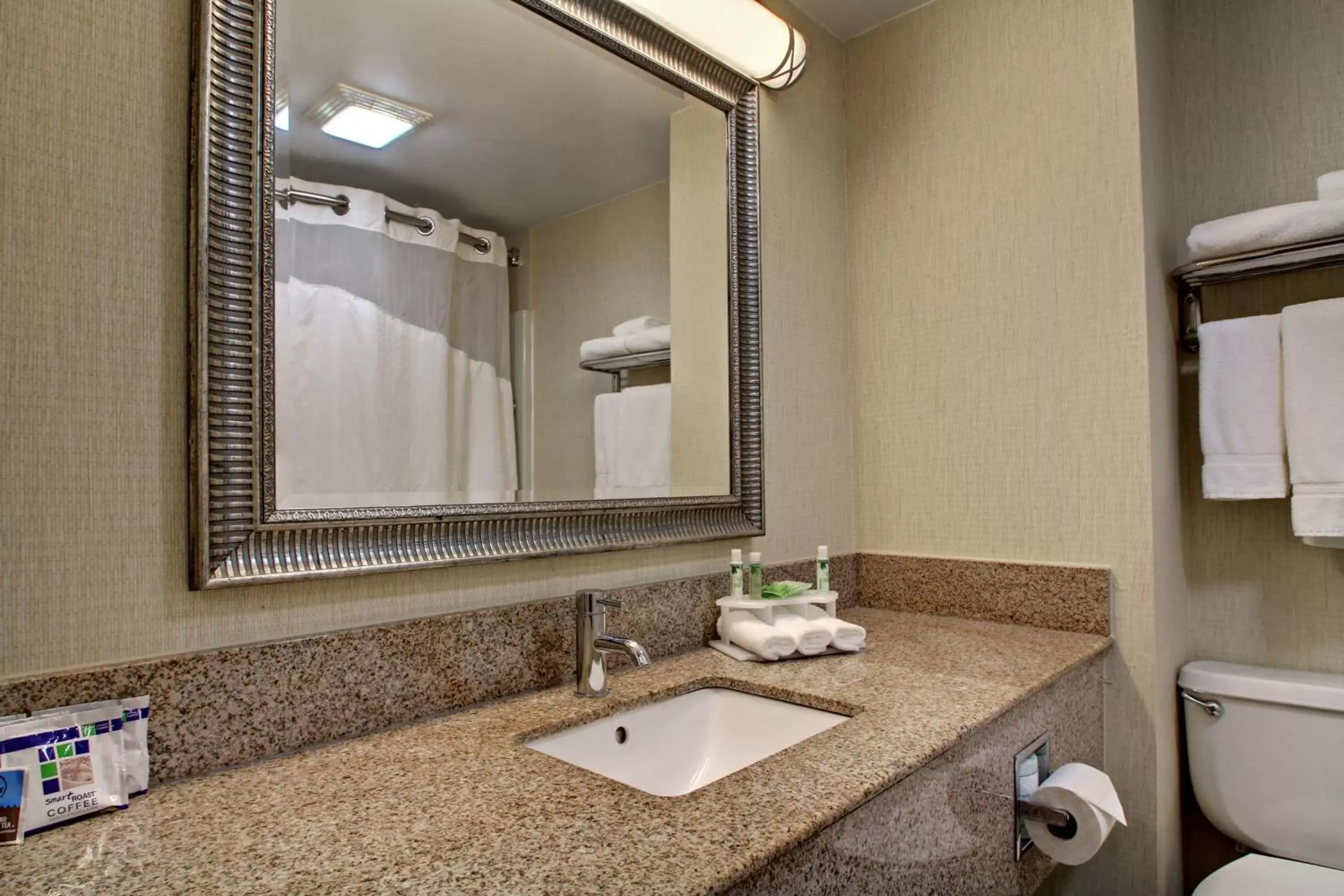 Bathroom in Holiday Inn Express Hurricane Mills Waverly, an IHG Hotel