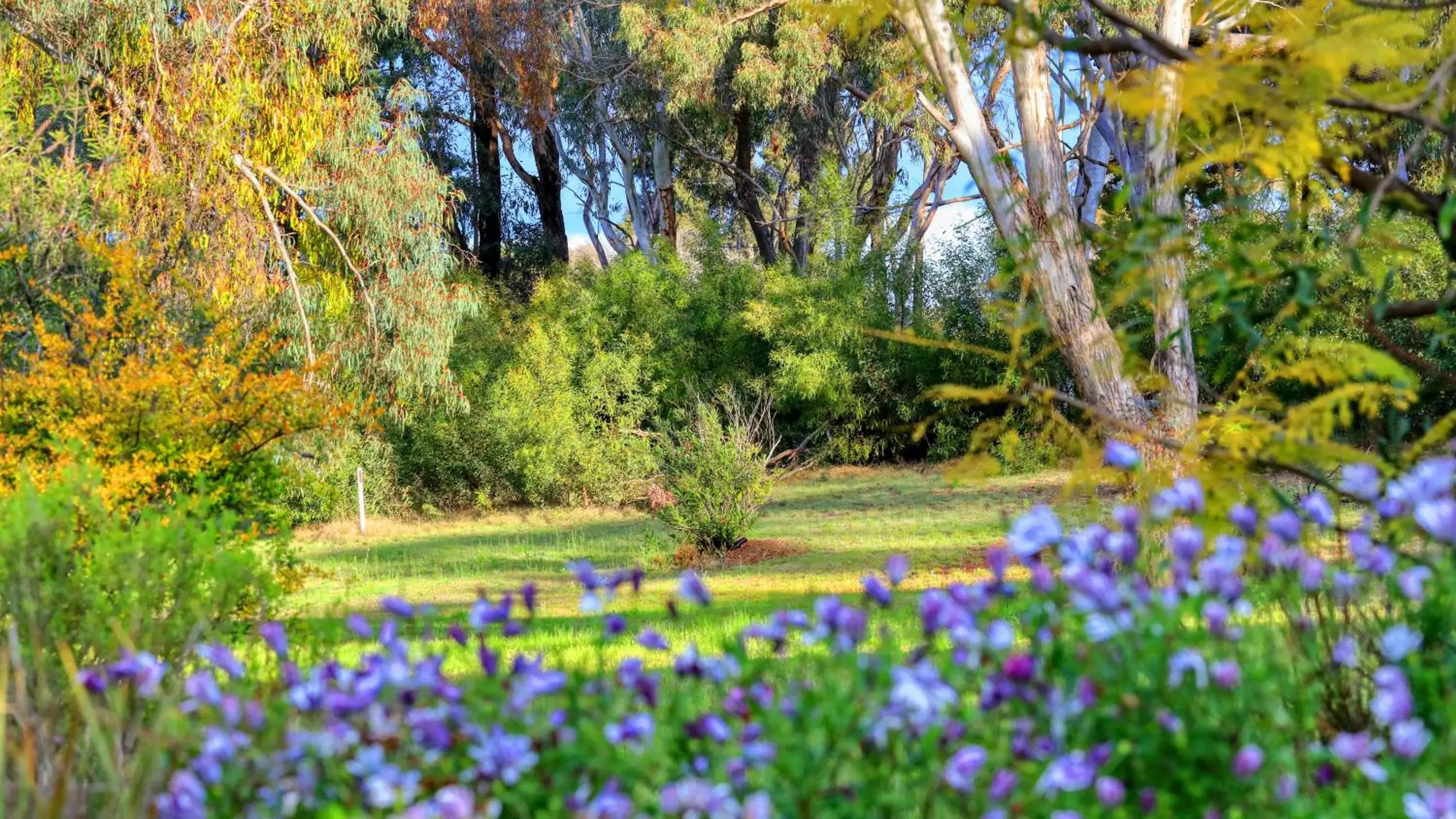 Pets, Garden in Matthew Flinders Motor Inn