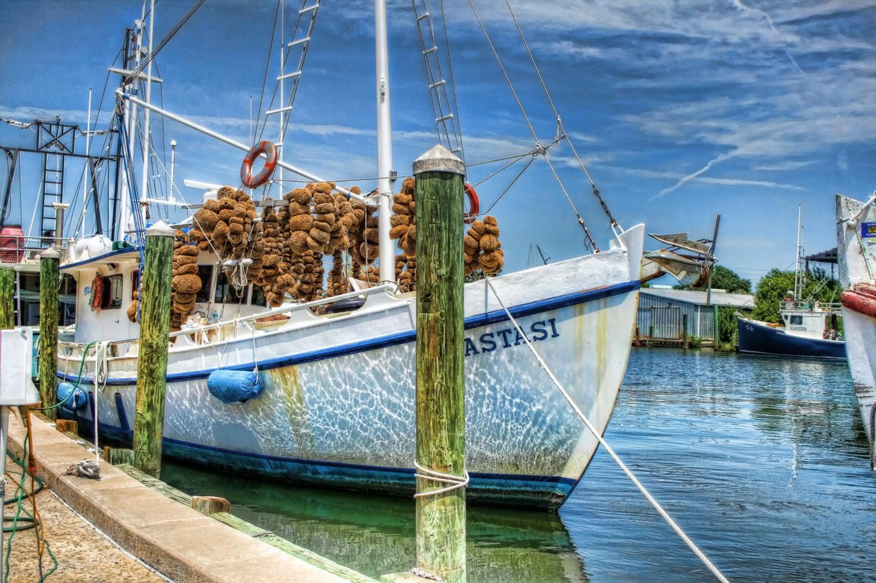 Area and facilities in Holiday Inn Express & Suites Trinity by IHG