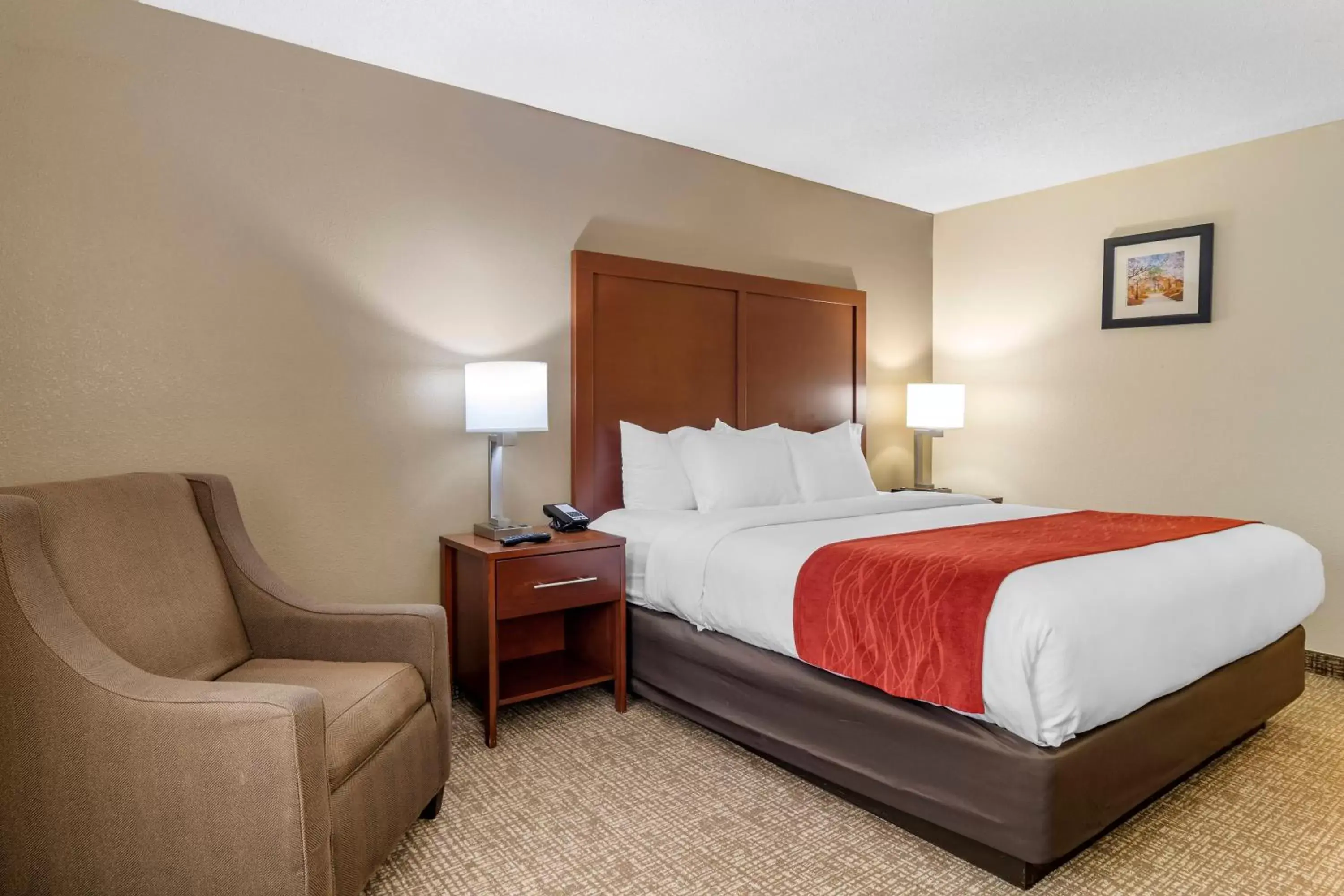 King Room - Non-Smoking in Comfort Inn & Suites Macon North I-75