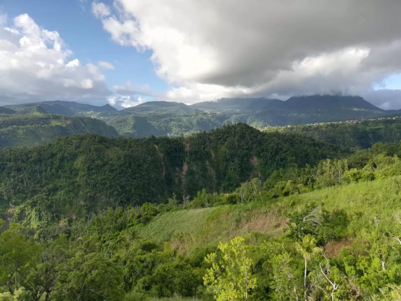 Natural Landscape in Matthew's Miracle View