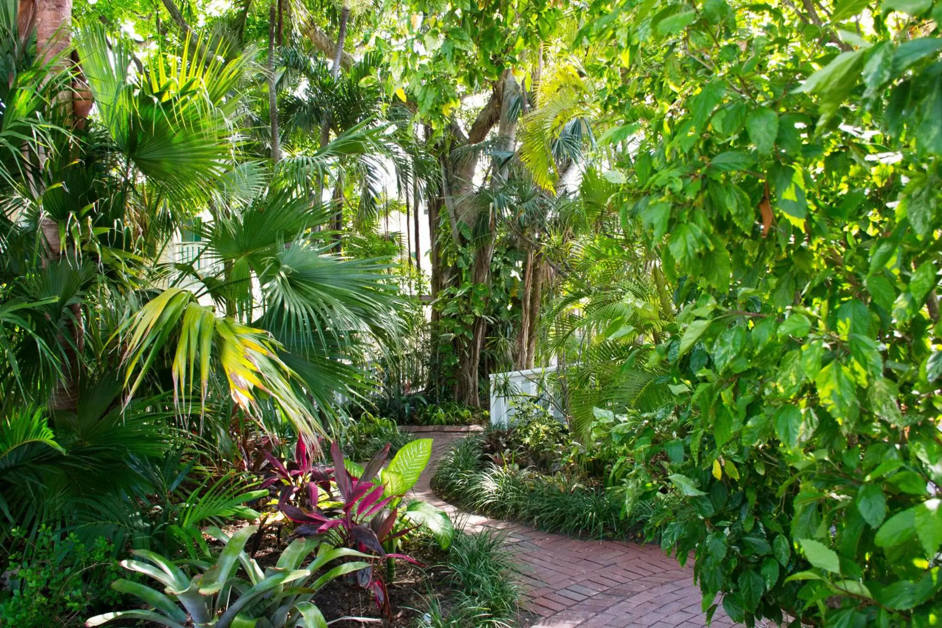 Garden in Duval House