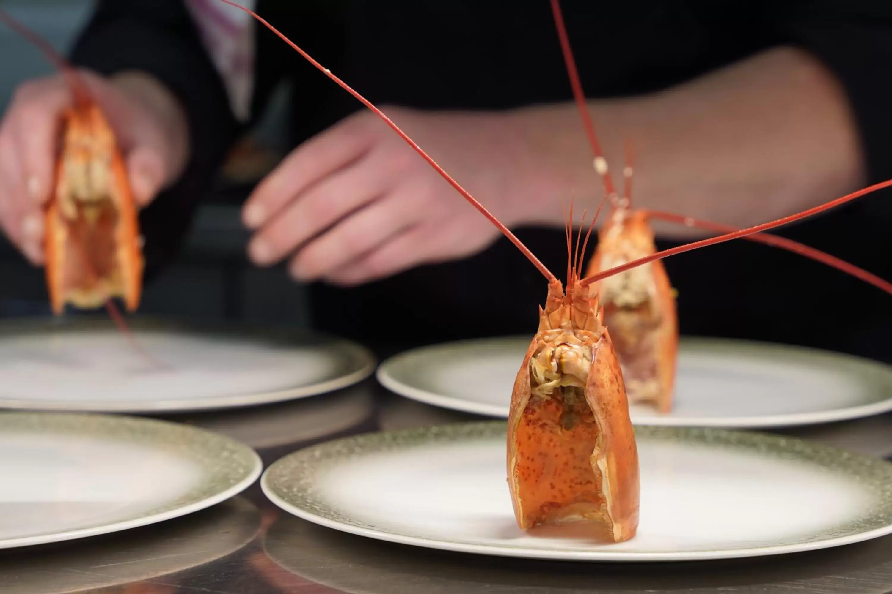 Food close-up in Hotel Damier Kortrijk