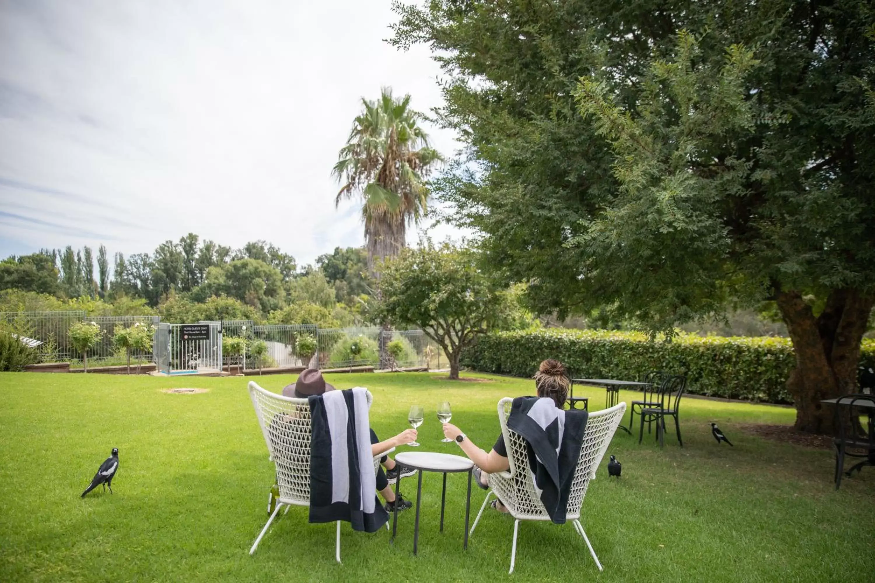 Garden in Harriet House Tumut