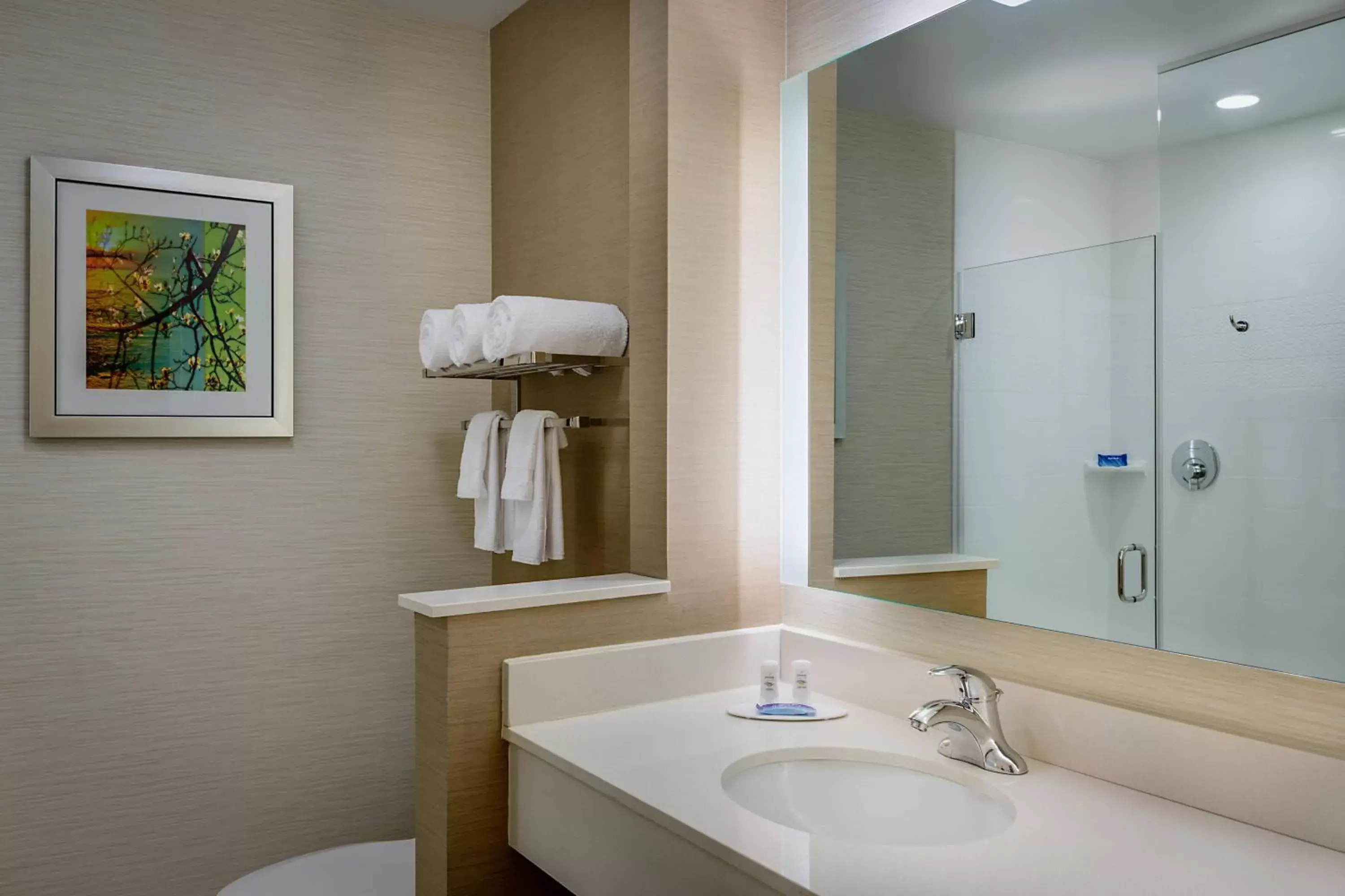 Bathroom in Fairfield Inn & Suites by Marriott Dallas West/I-30