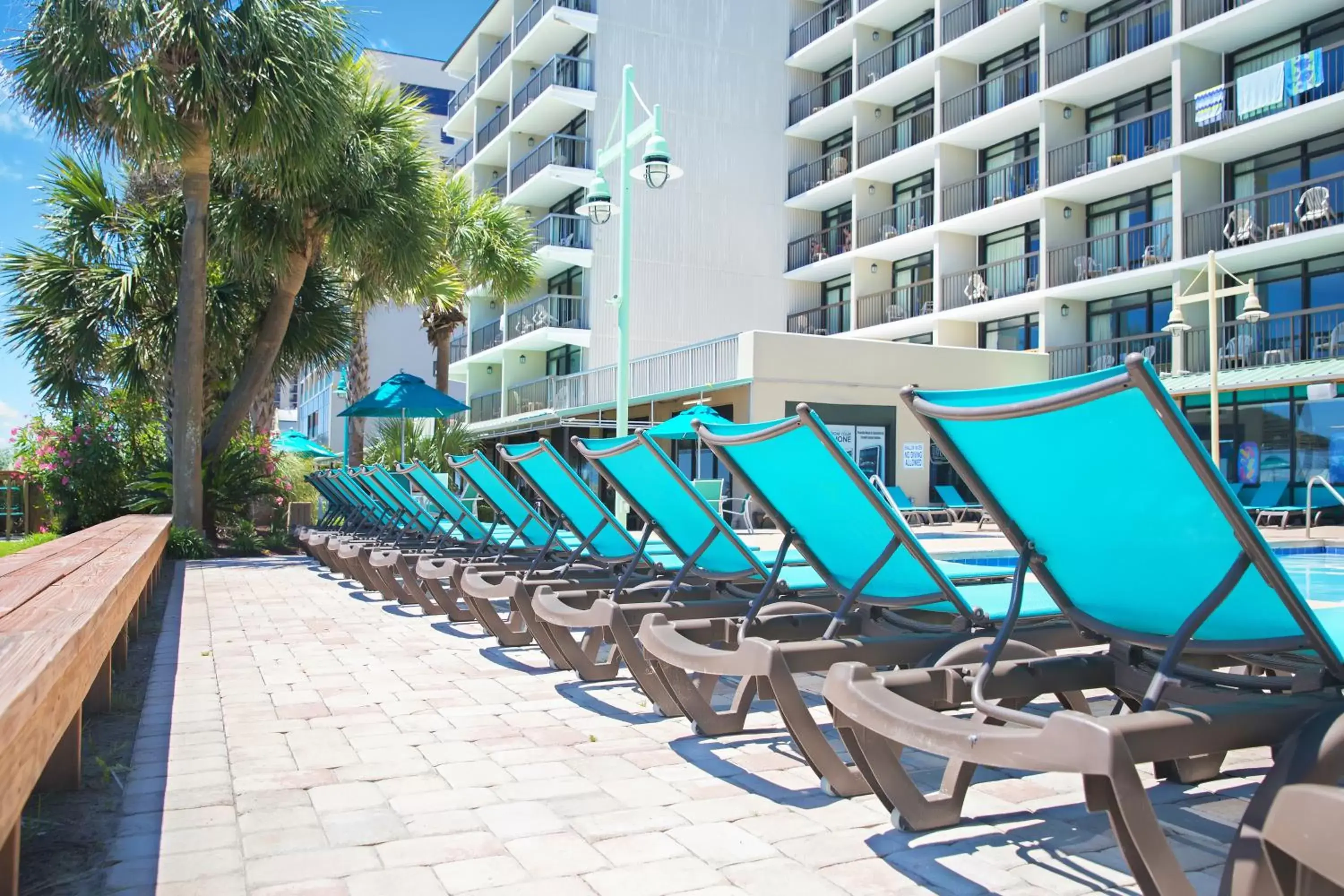 Area and facilities, Swimming Pool in North Shore Oceanfront Resort Hotel