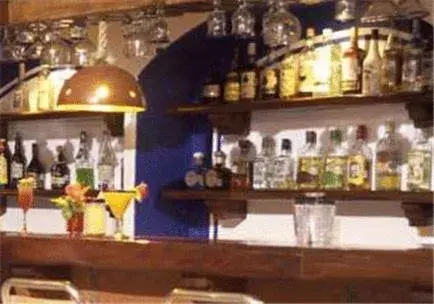 Lounge or bar, Lounge/Bar in Hotel Villa Mexicana