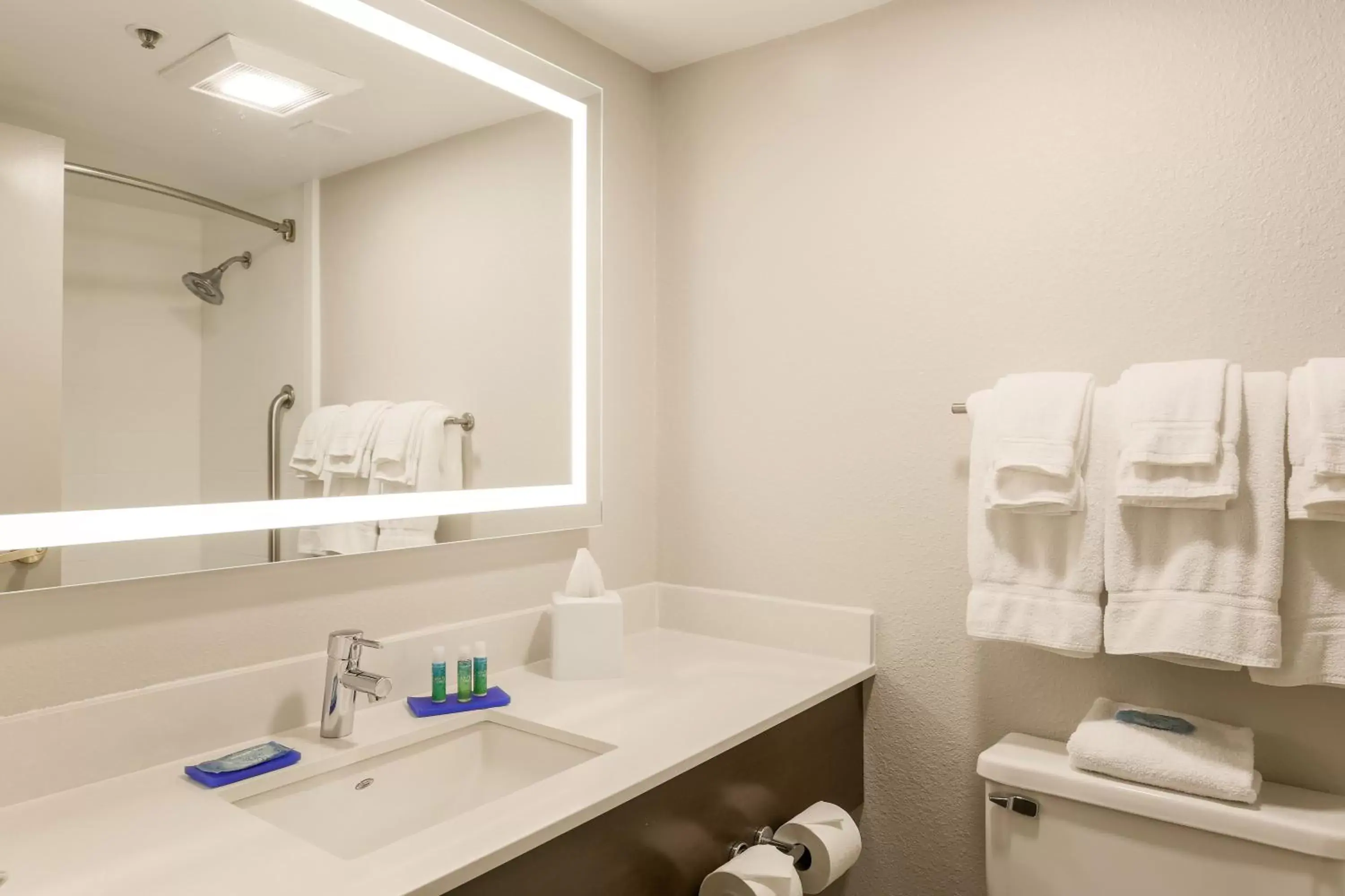 Bathroom in Holiday Inn Express Milwaukee - West Medical Center, an IHG Hotel