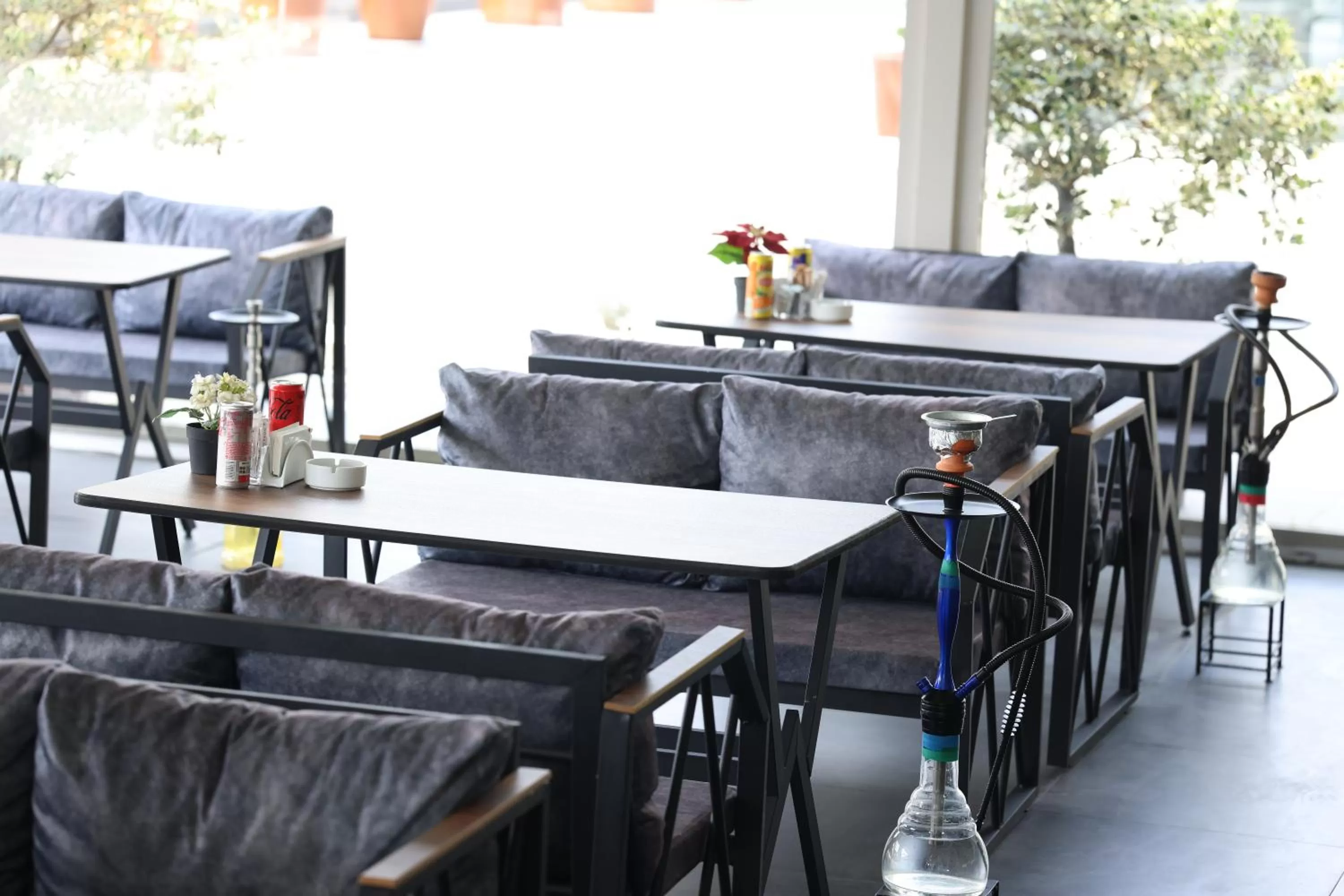 Garden, Restaurant/Places to Eat in Nova Plaza Prime Hotel