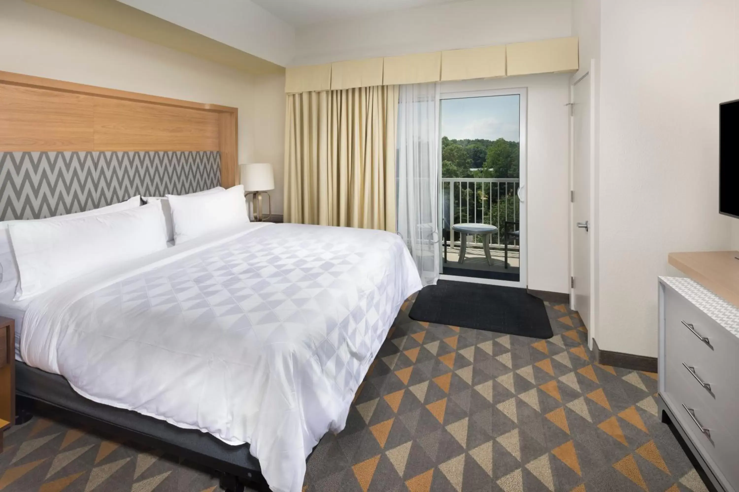 Photo of the whole room, Bed in Holiday Inn & Suites Arden - Asheville Airport, an IHG Hotel