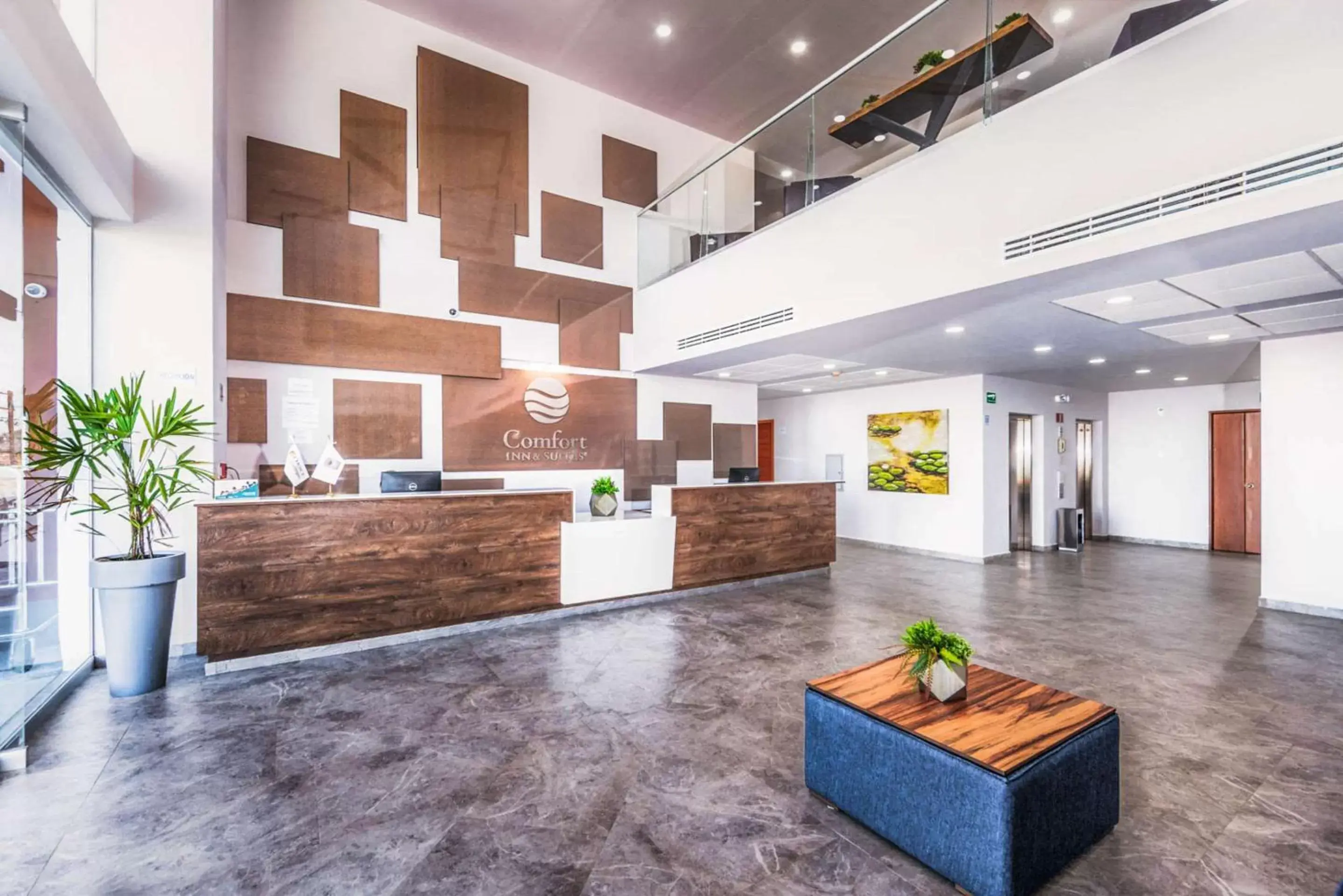 Lobby or reception, Lobby/Reception in Comfort Inn & Suites Los Cabos