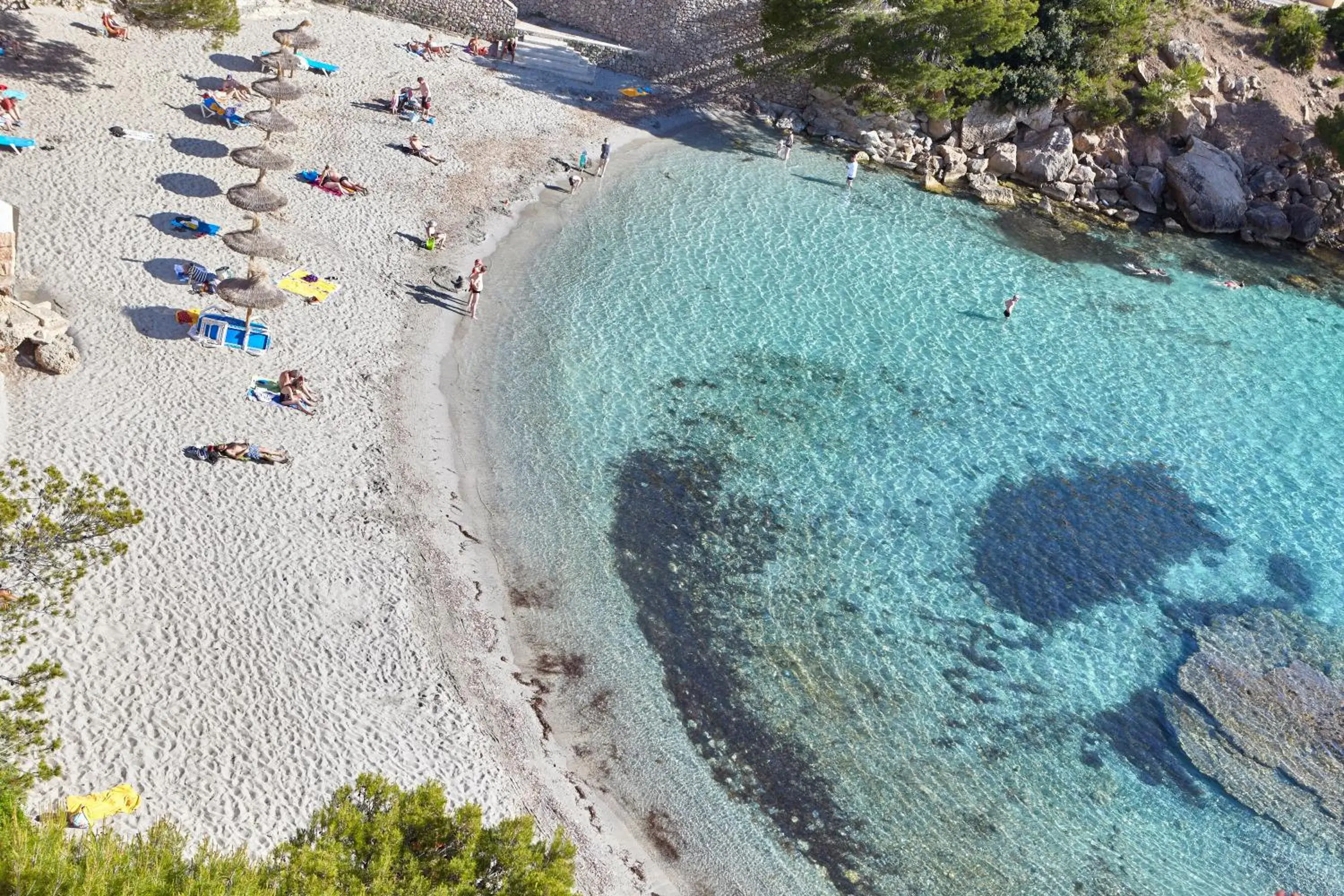 Beach, Bird's-eye View in Universal Hotel Aquamarin