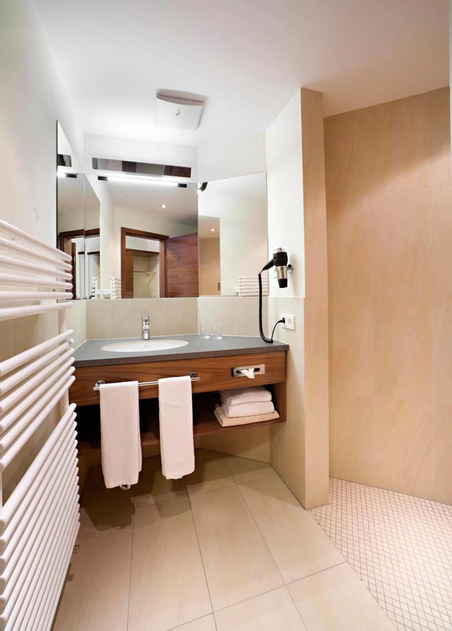 Shower in Hotel Greinwald