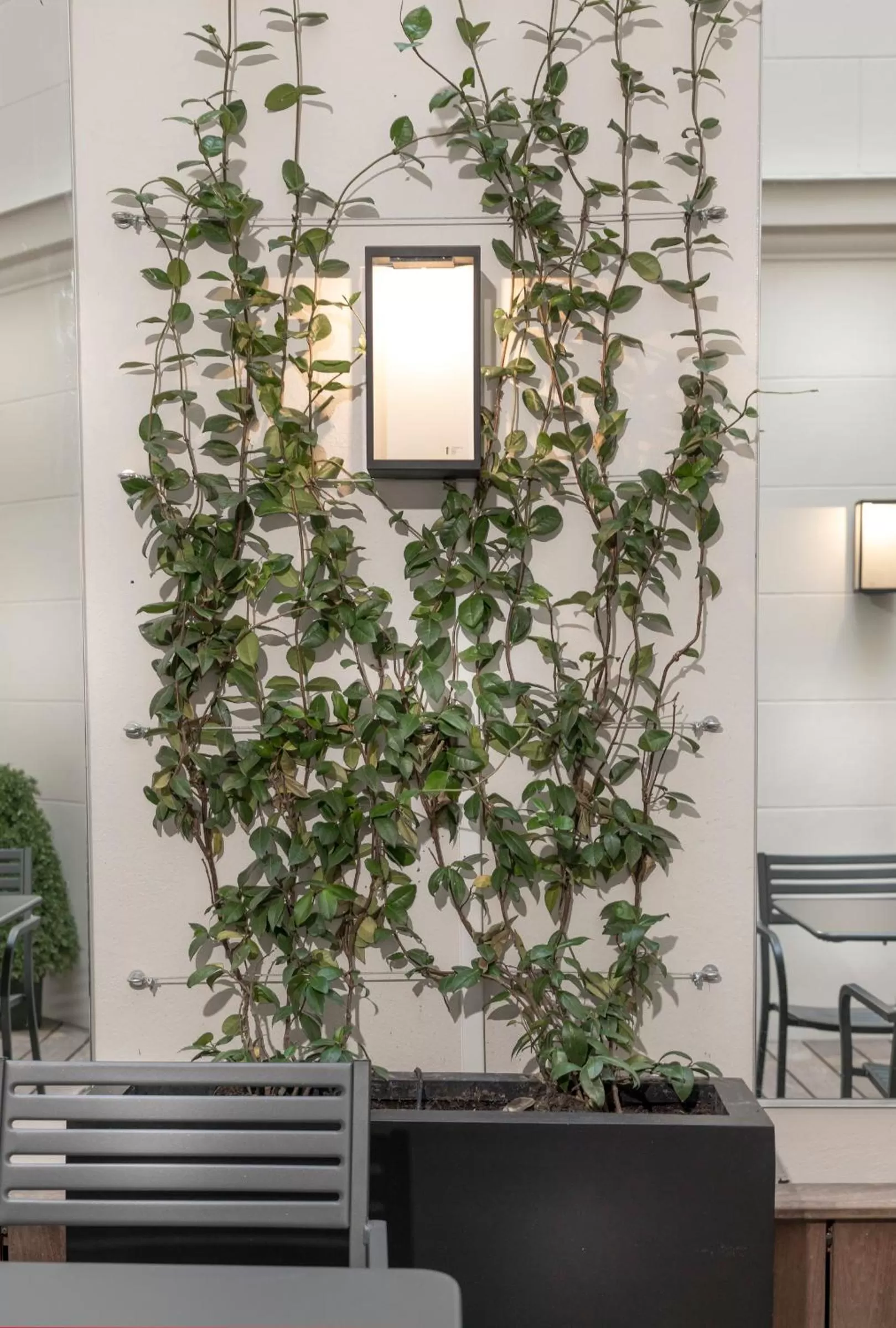 Garden in Elysées Ceramic