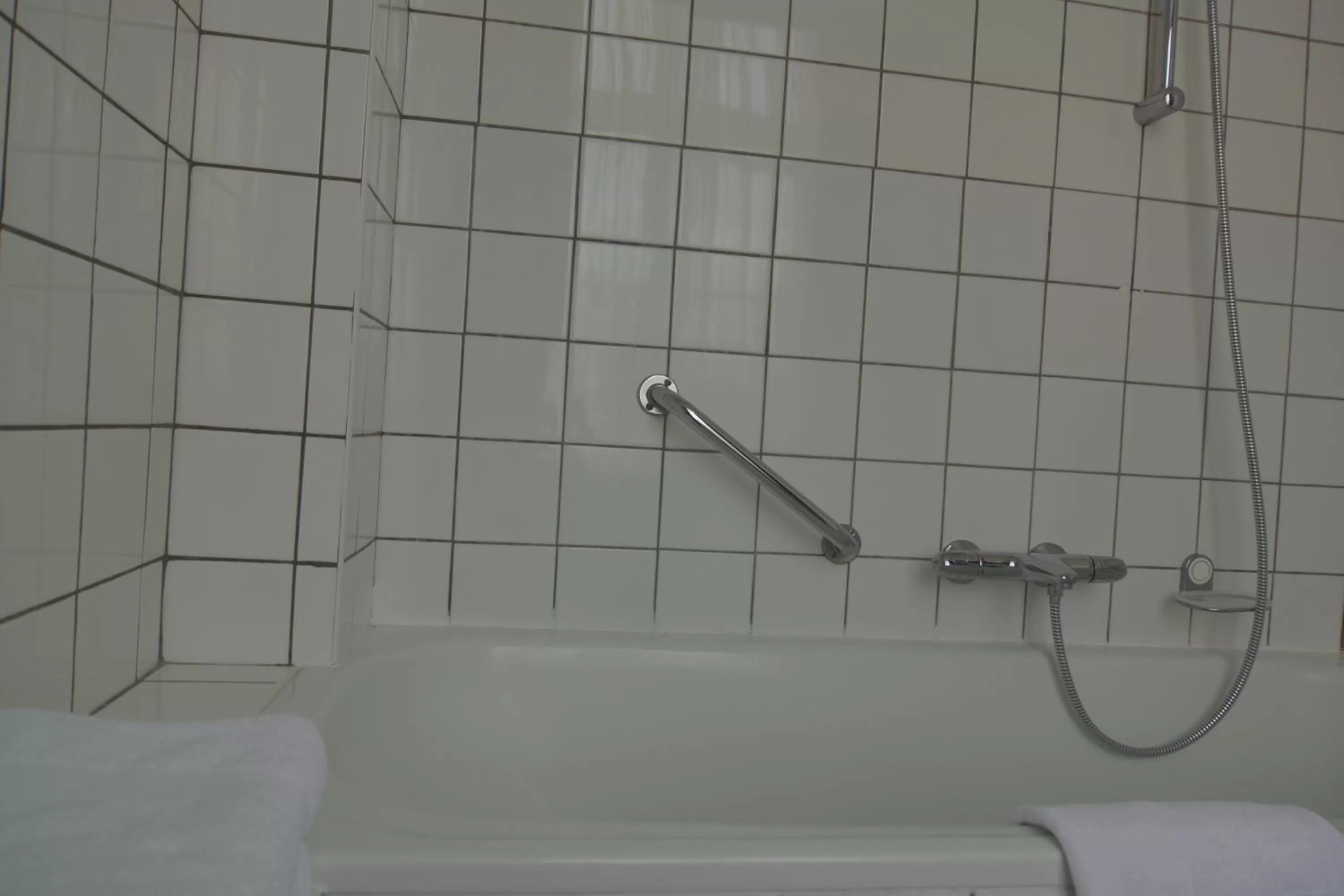 Decorative detail in In den Roden Leeuw van Limburg