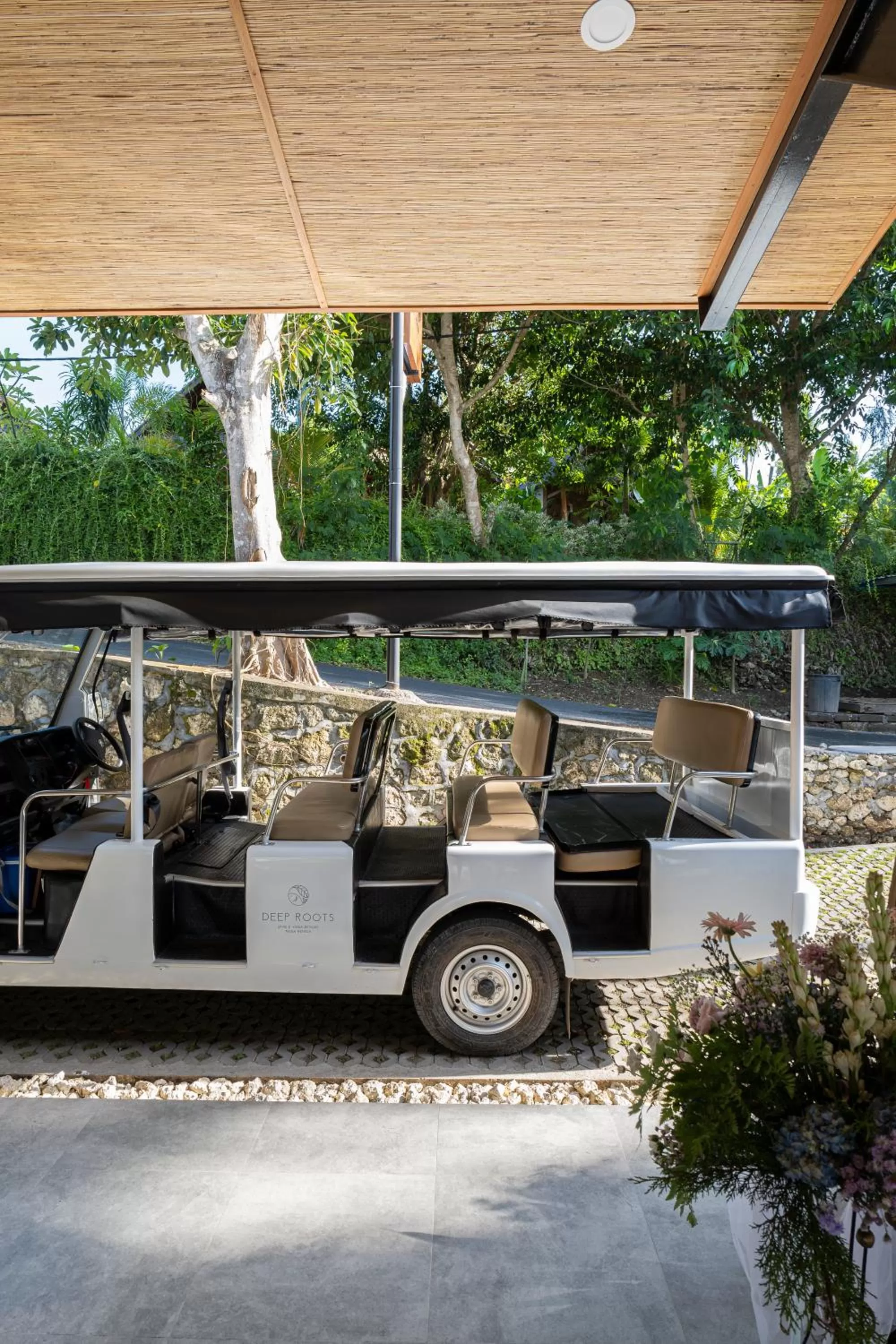 Area and facilities in Deep Roots Dive & Yoga Resort