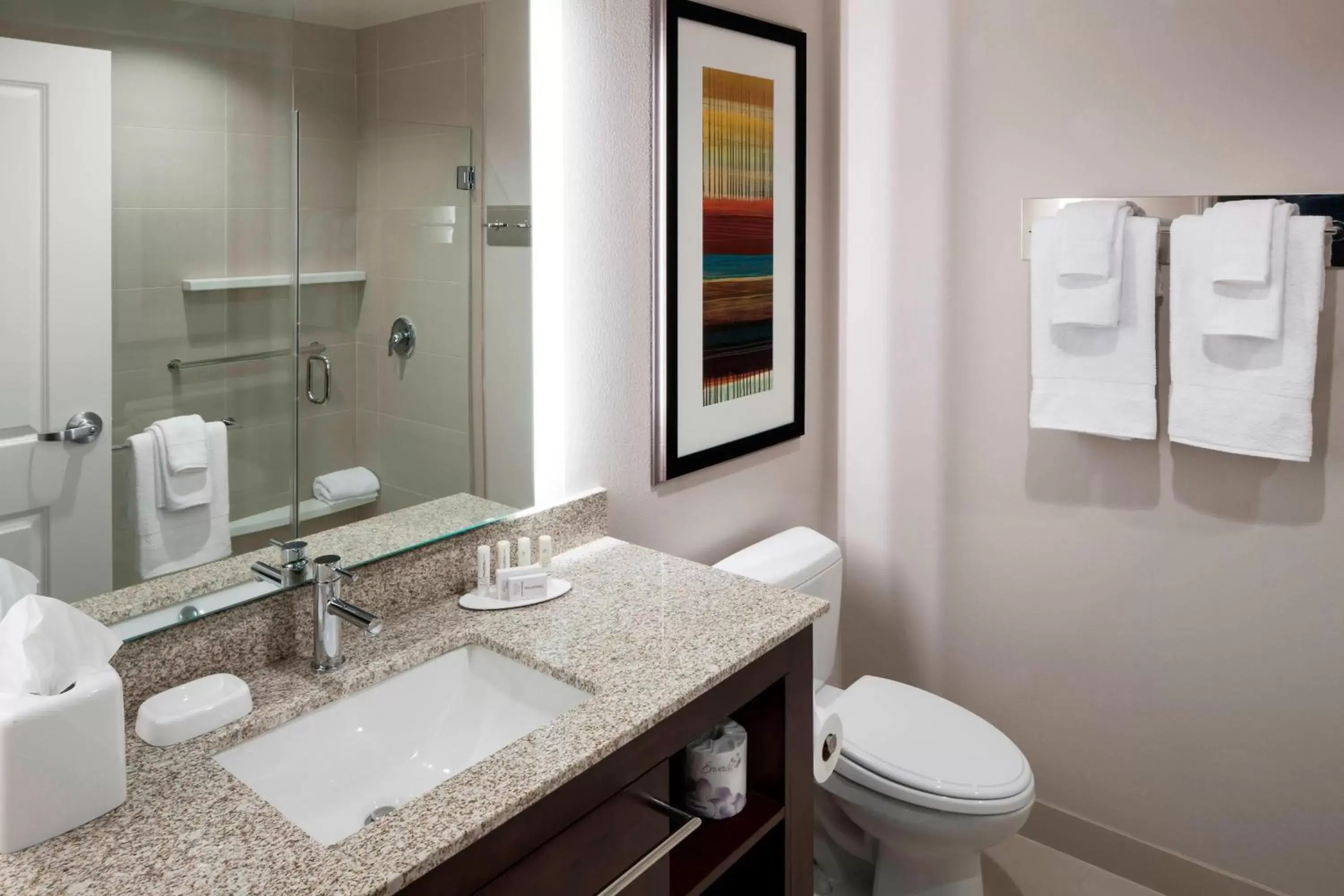 Bathroom in Residence Inn by Marriott Dallas Plano/Richardson