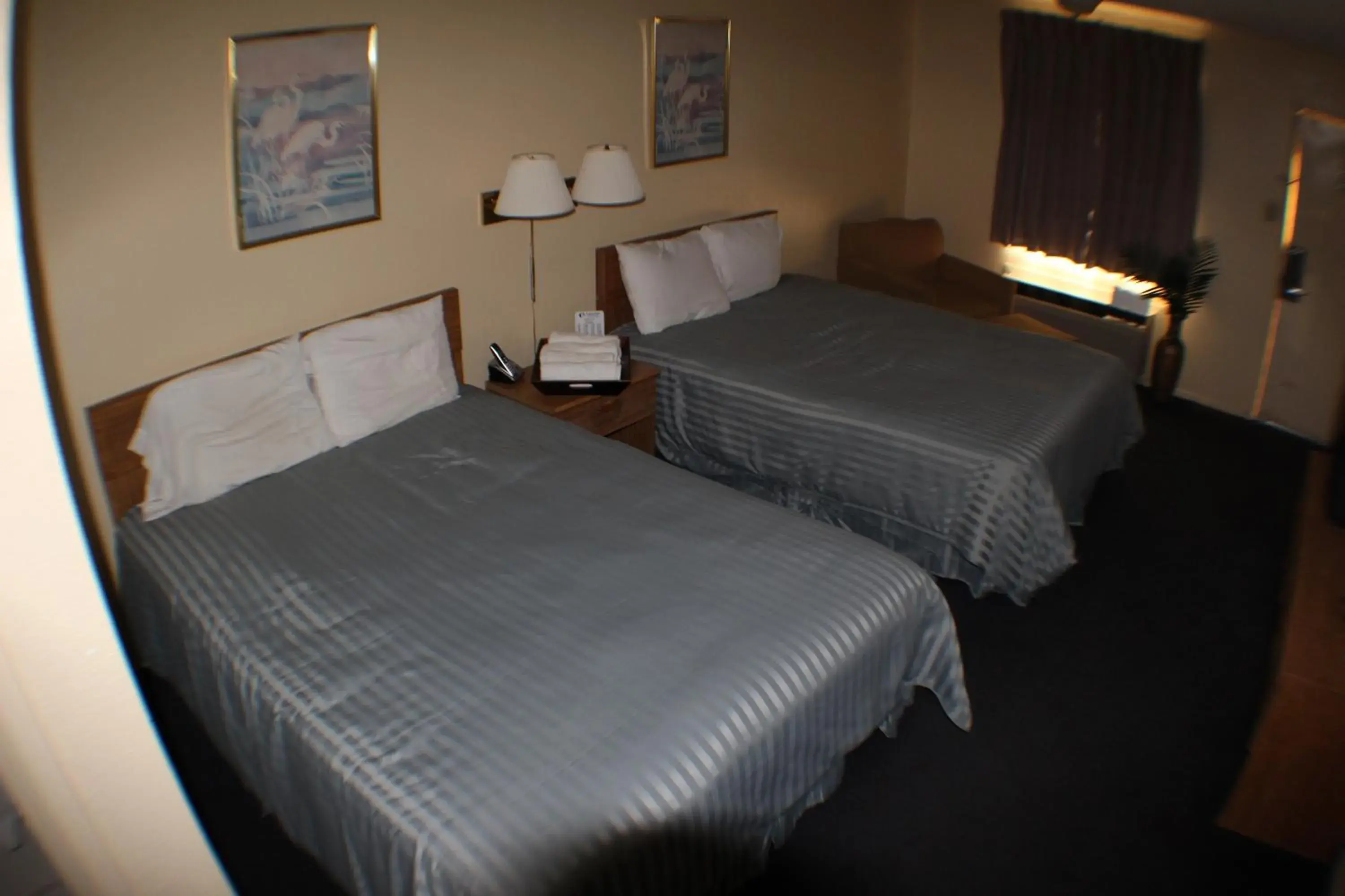 Bed in Value Inn & Suites - Harlingen