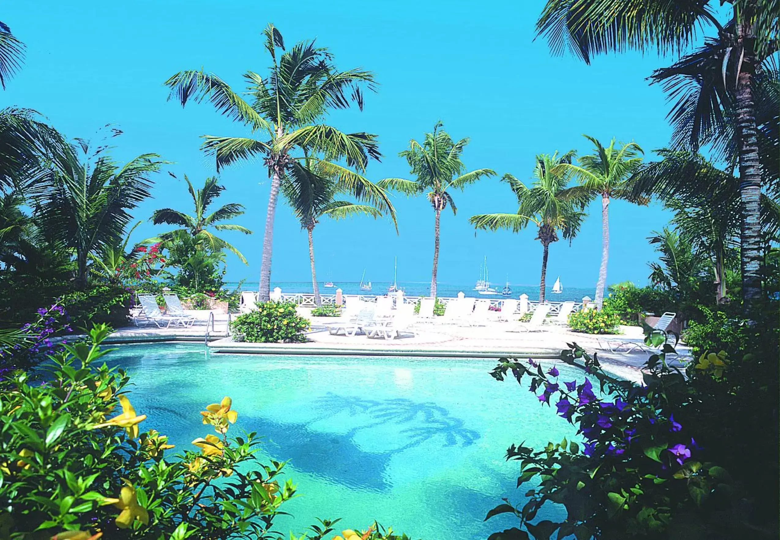 Swimming Pool in Coco Reef Resort & Spa
