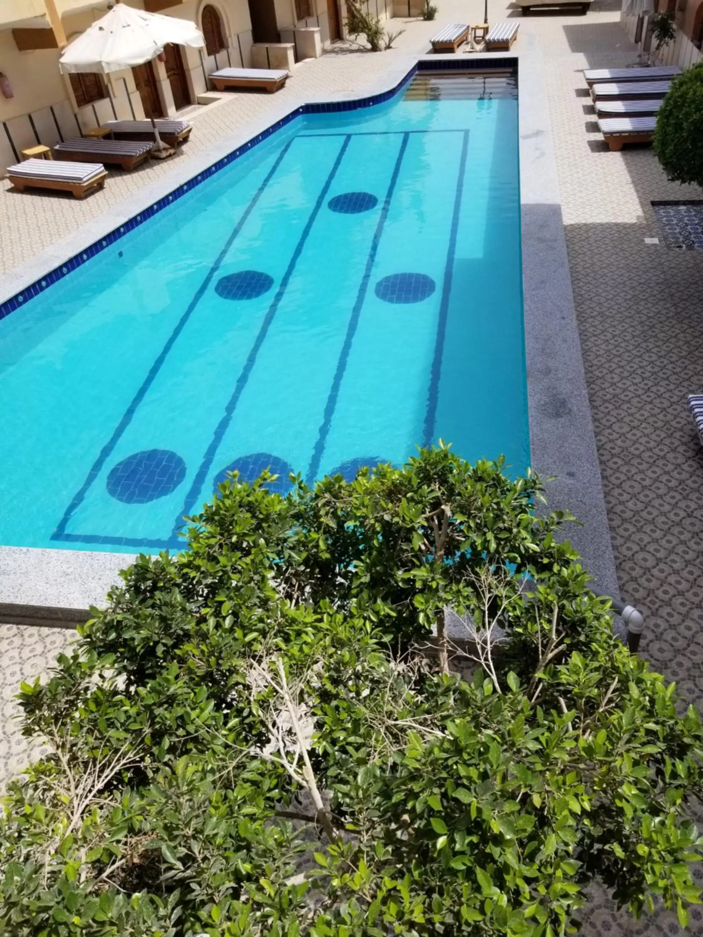 Pool view, Swimming Pool in Dahab Plaza Hotel