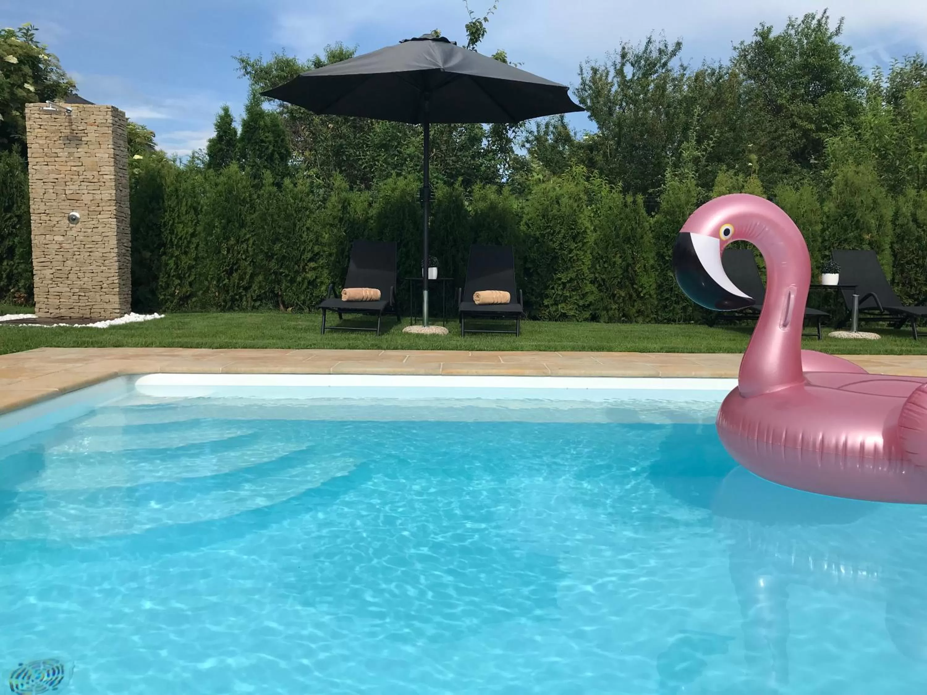 Swimming Pool in Villa Aruba & Private SPA Suites