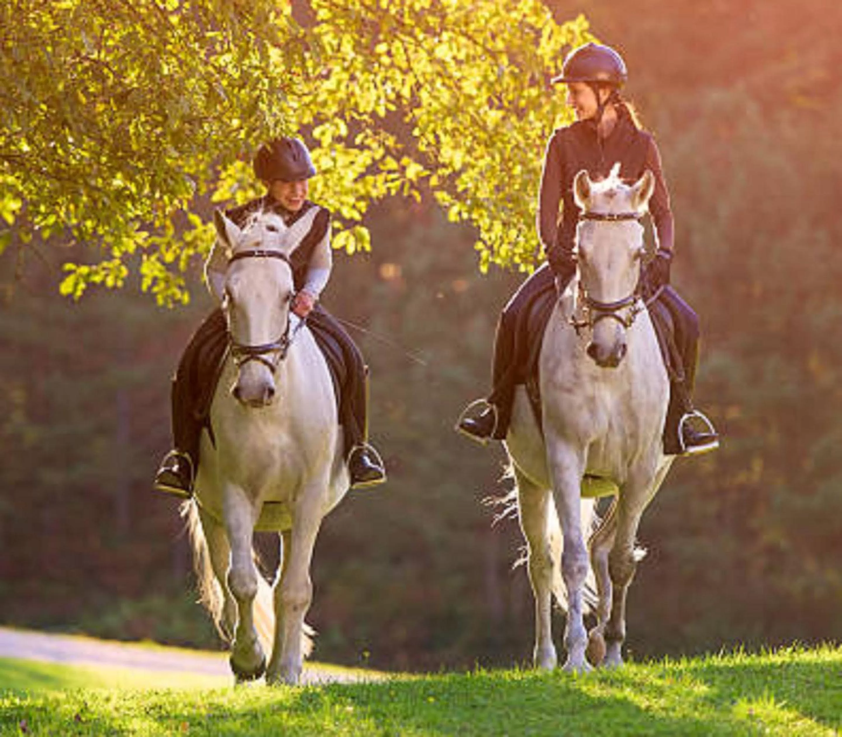 Horse-riding in Langstone Cliff Hotel