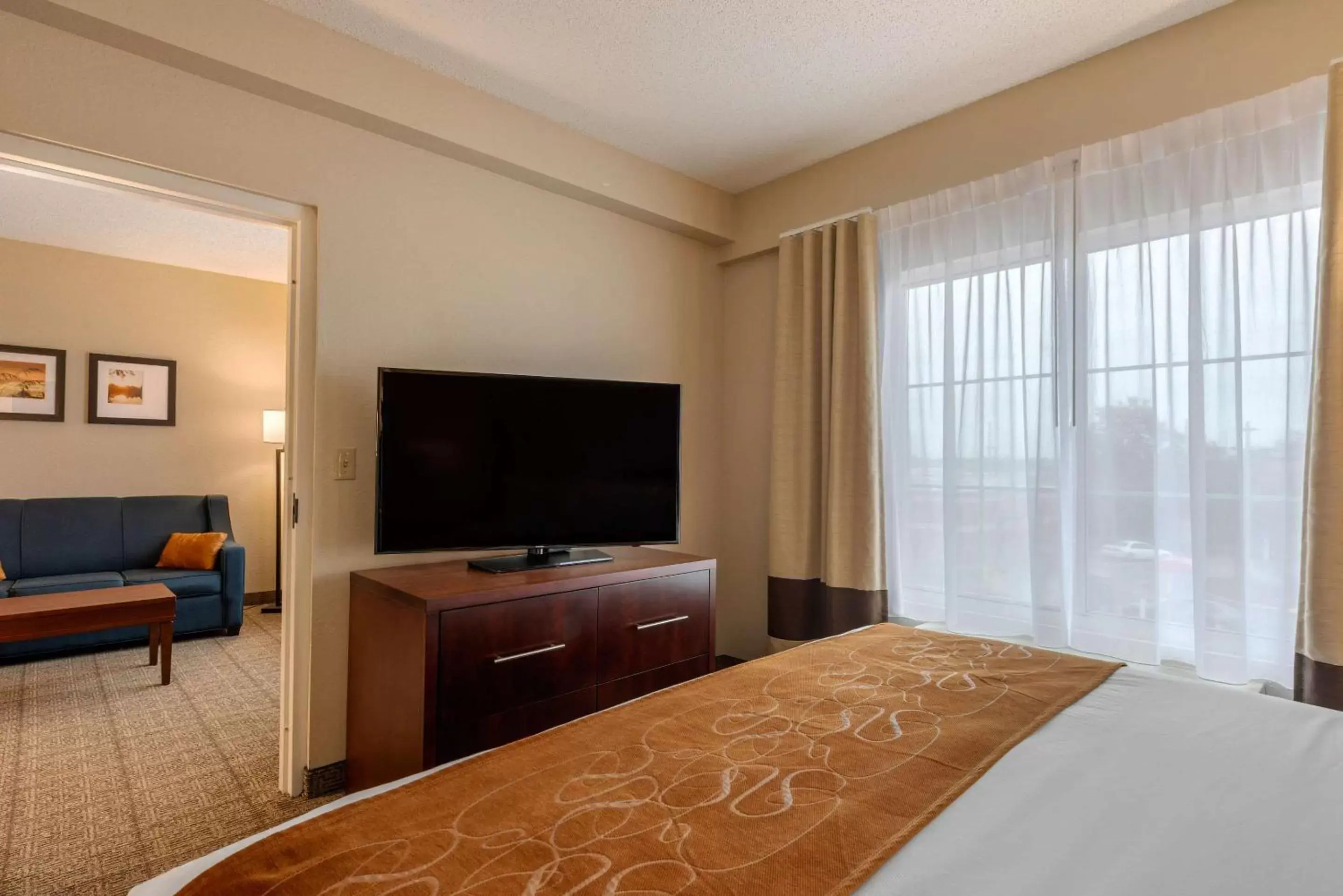 Photo of the whole room, TV/Entertainment Center in Comfort Suites Downtown