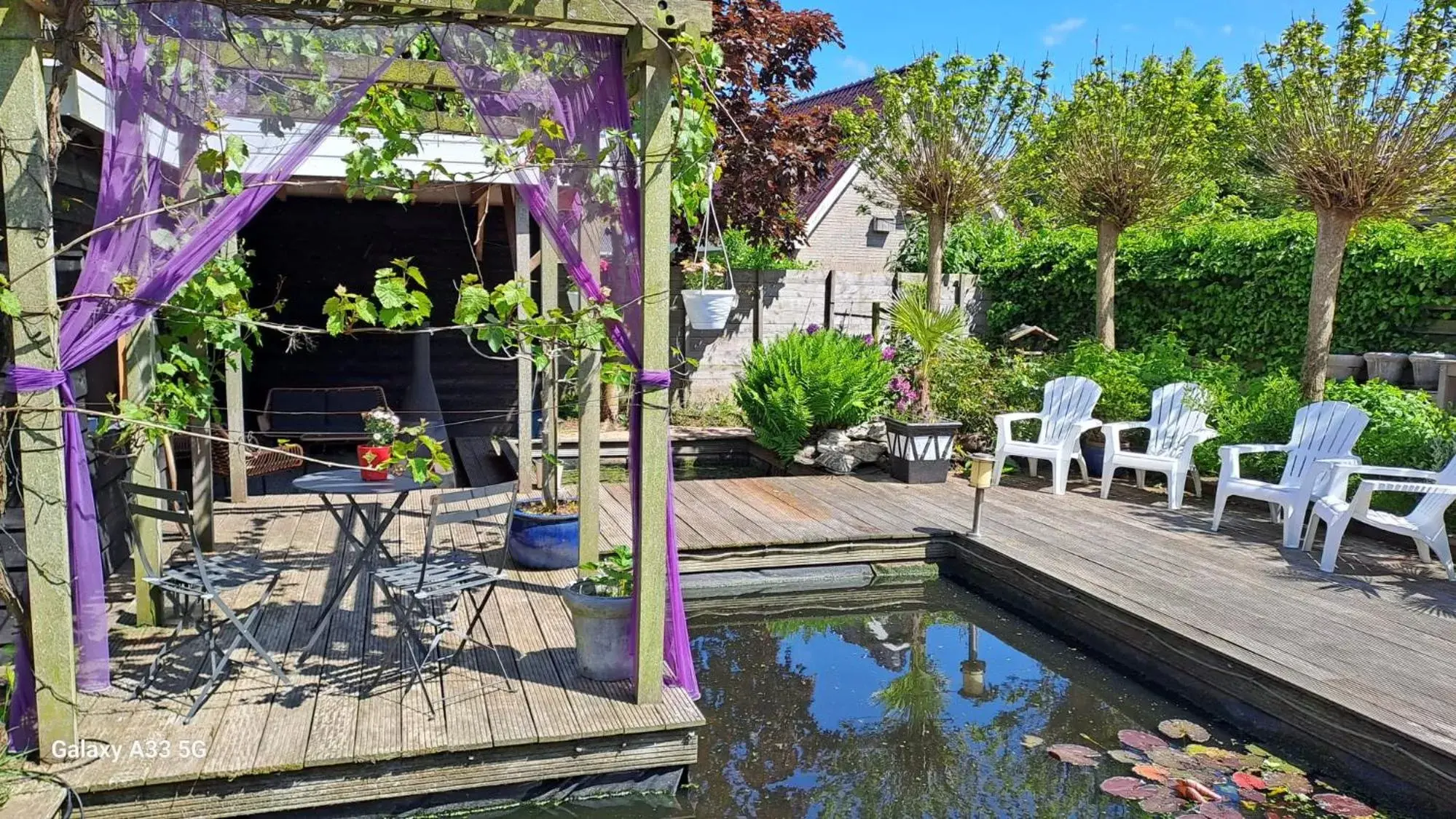 Garden, Swimming Pool in B&B Het Oude Doktershuys