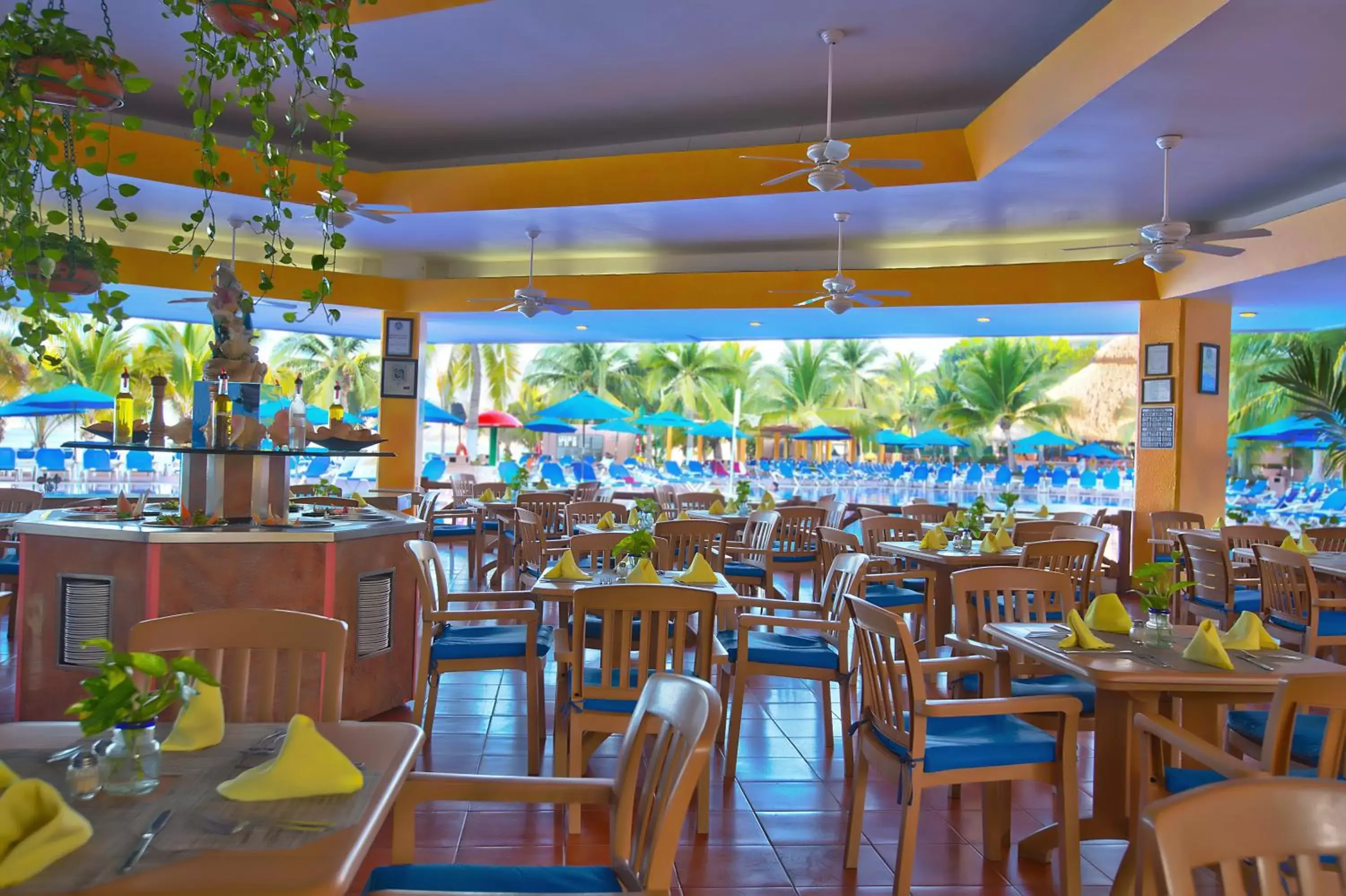 Restaurant/Places to Eat in Barceló Ixtapa - All Inclusive