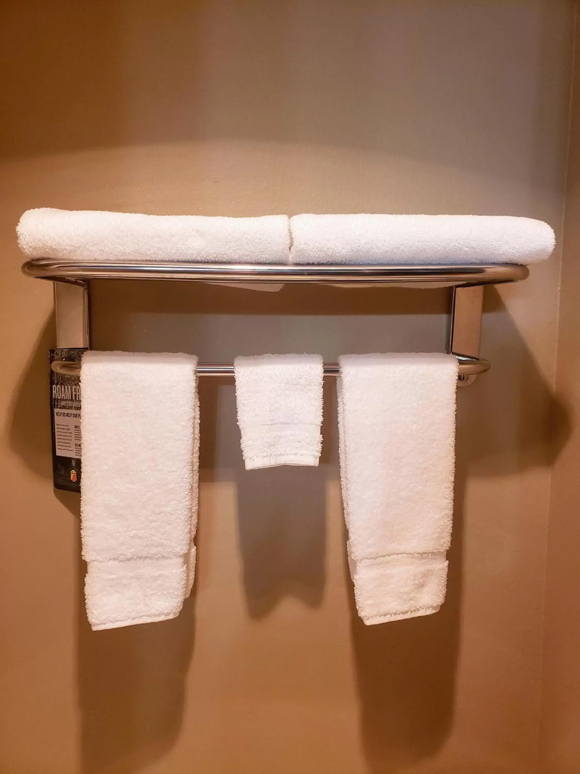 towels in Super 8 by Wyndham Chariton
