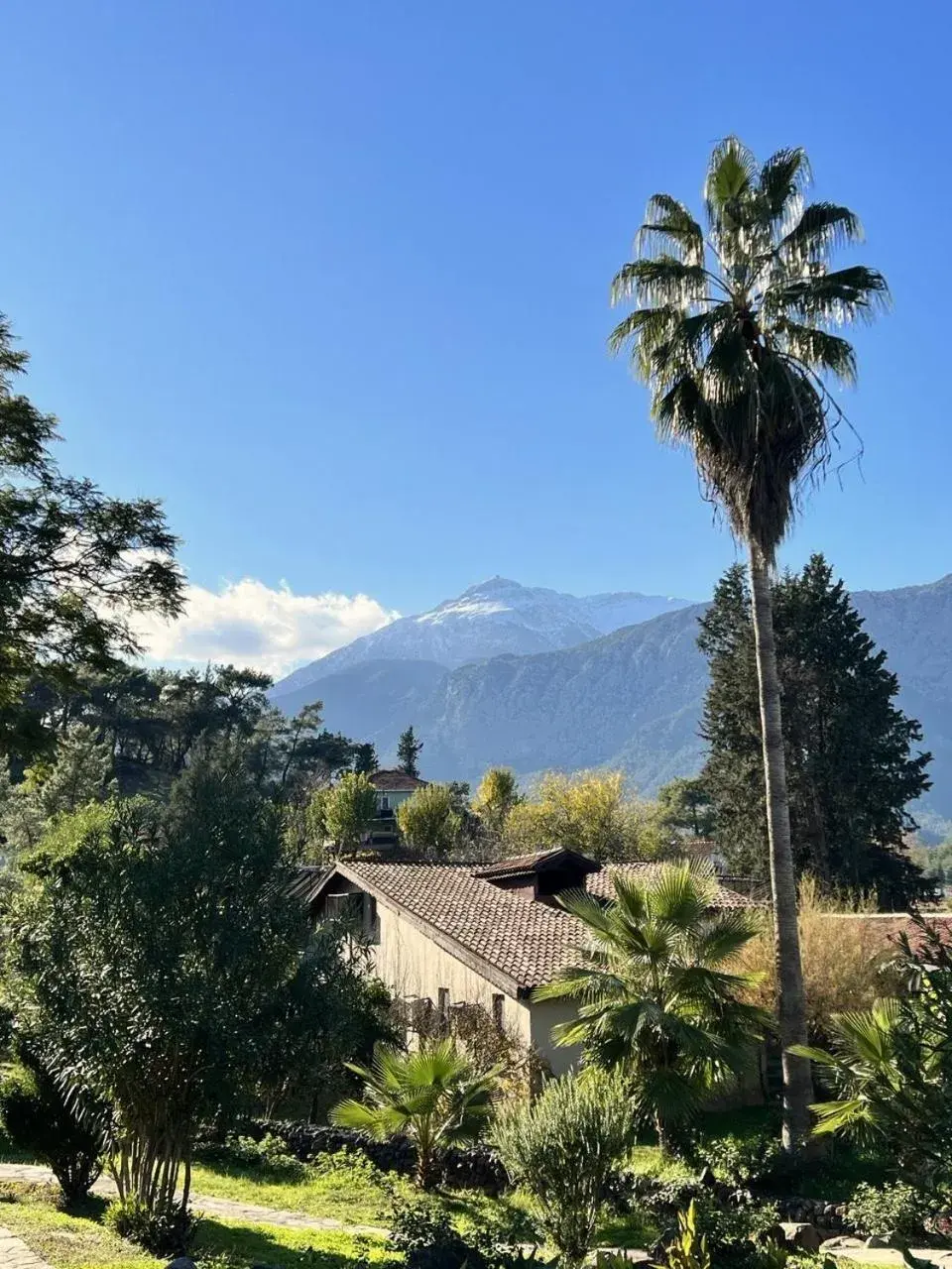 Mountain view in Beso Hotel Berke Ranch&Nature Mountain view in Beso Hotel Berke Ranch&Nature