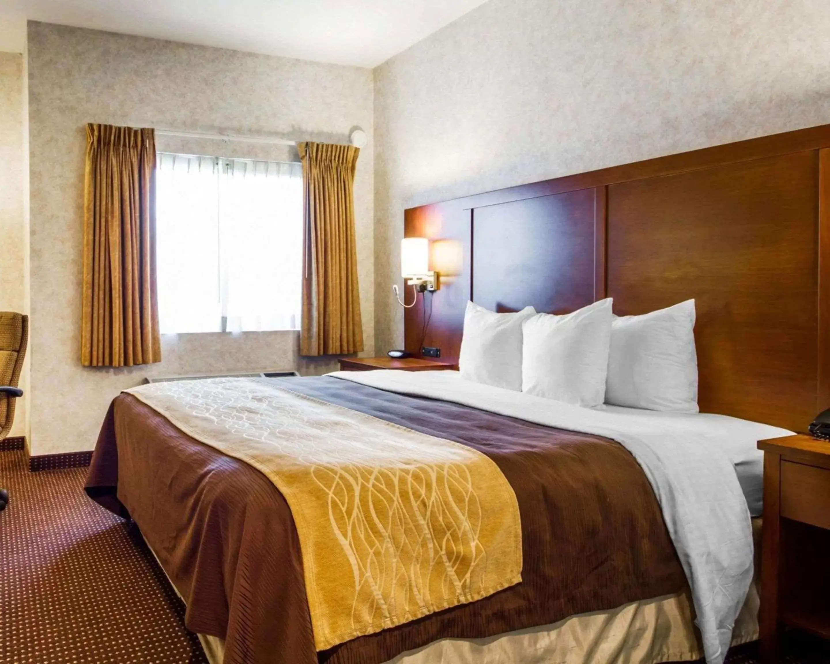 Photo of the whole room, Bed in Comfort Inn Watsonville Photo of the whole room, Bed in Comfort Inn Watsonville