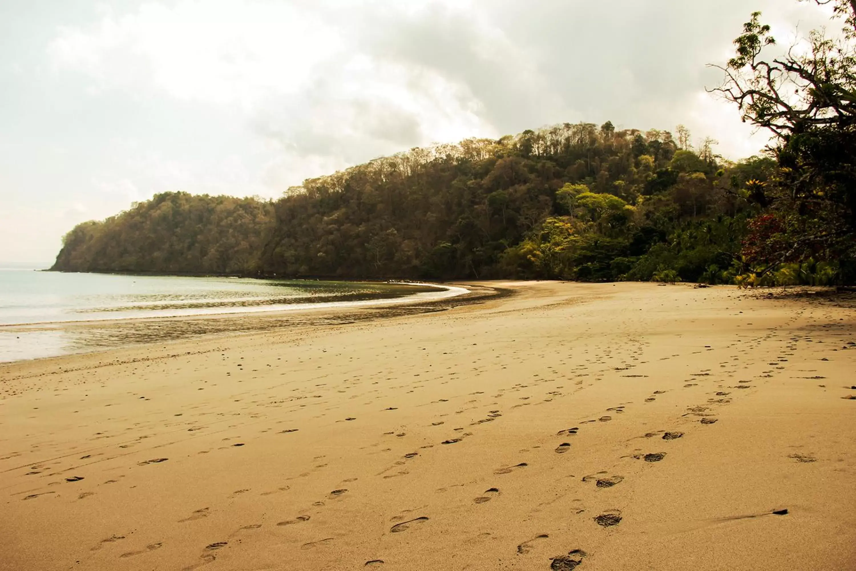 Beach in Hotel Arenas en Punta Leona