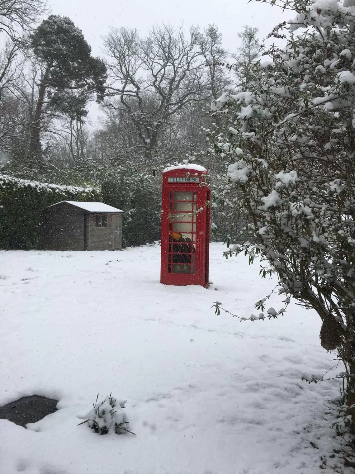 Winter in South Lodge House