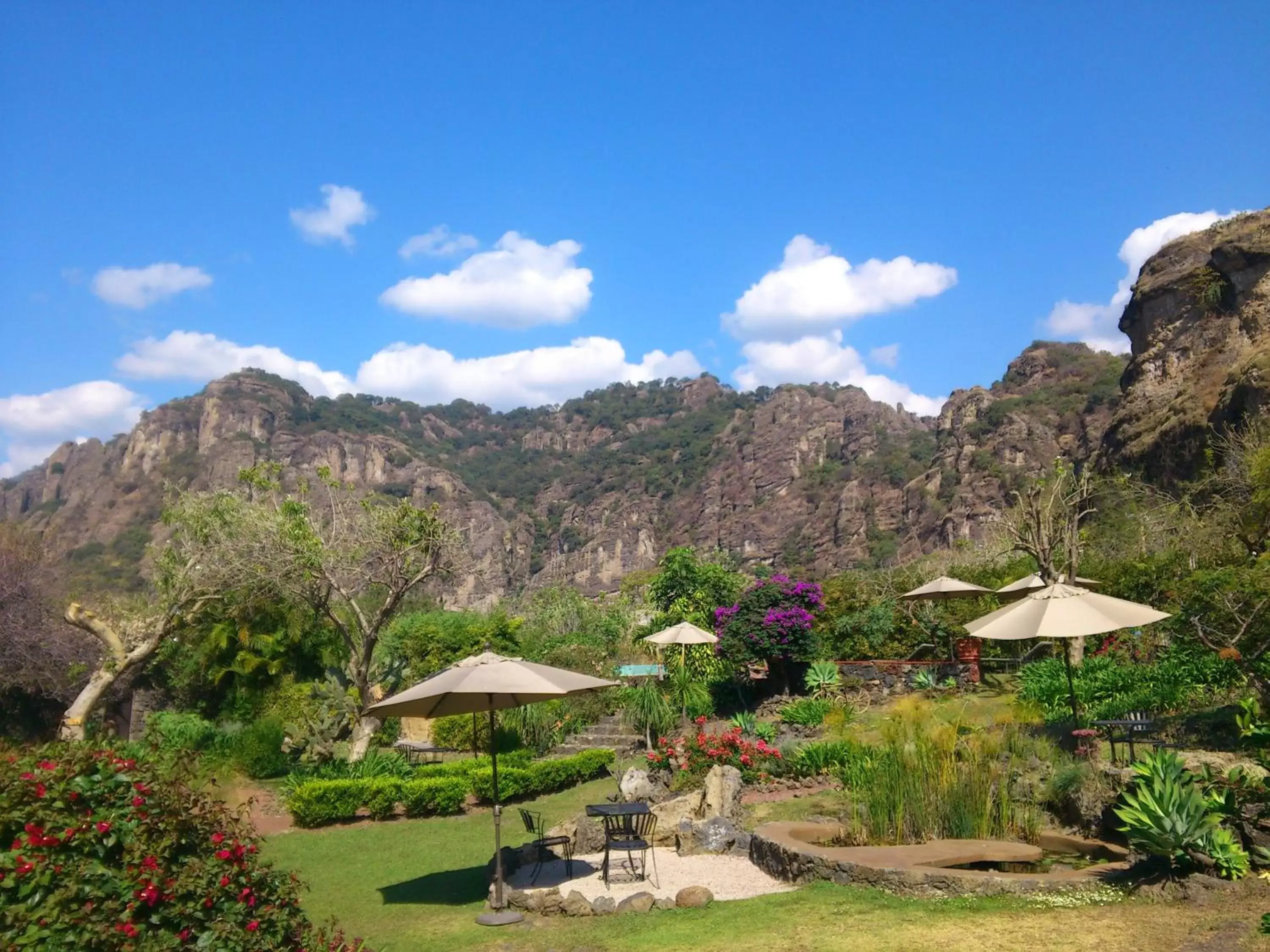 Garden view in Hotel Valle Místico