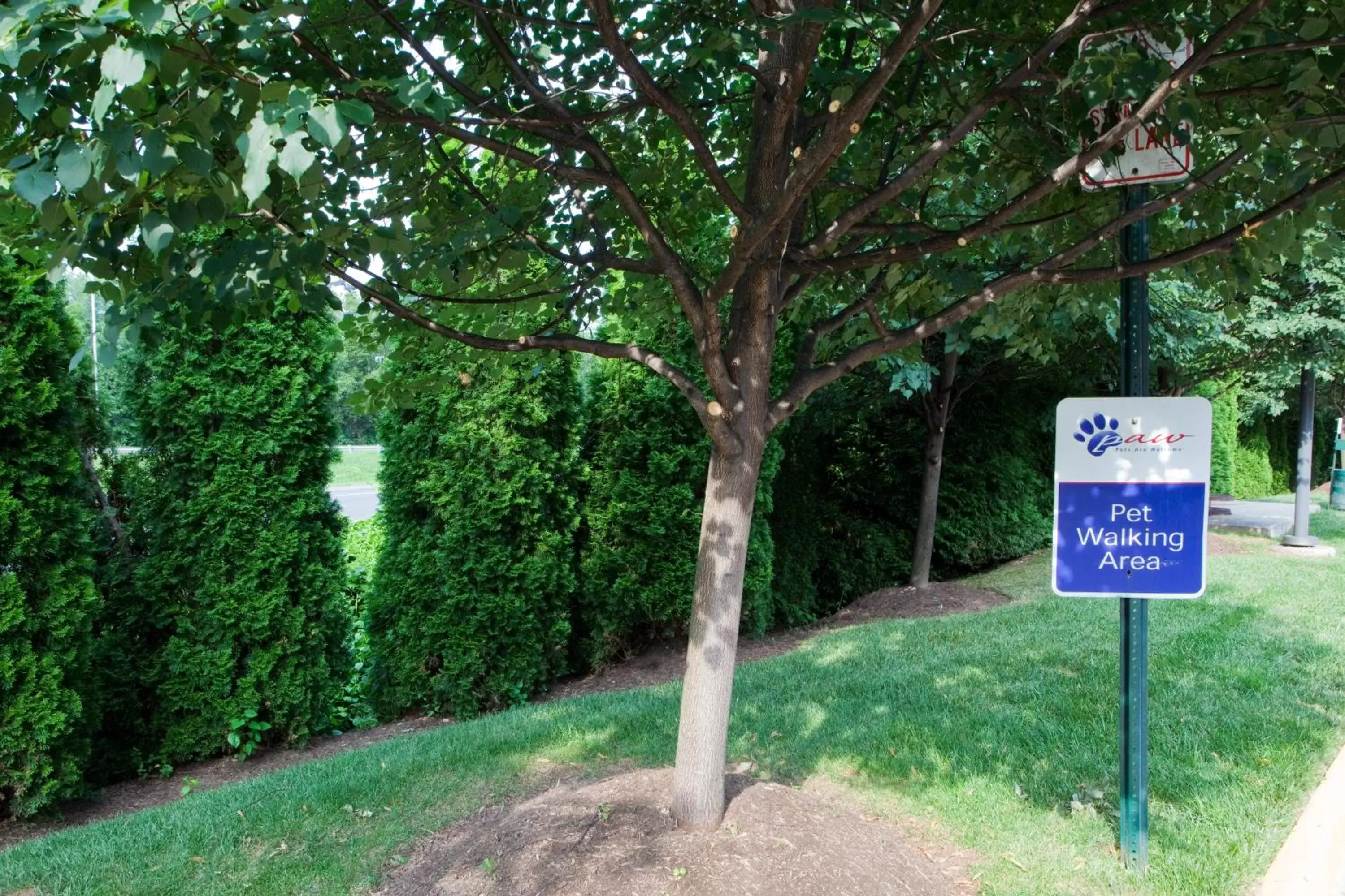 Lobby or reception in Candlewood Suites Washington-Fairfax by IHG Lobby or reception in Candlewood Suites Washington-Fairfax by IHG