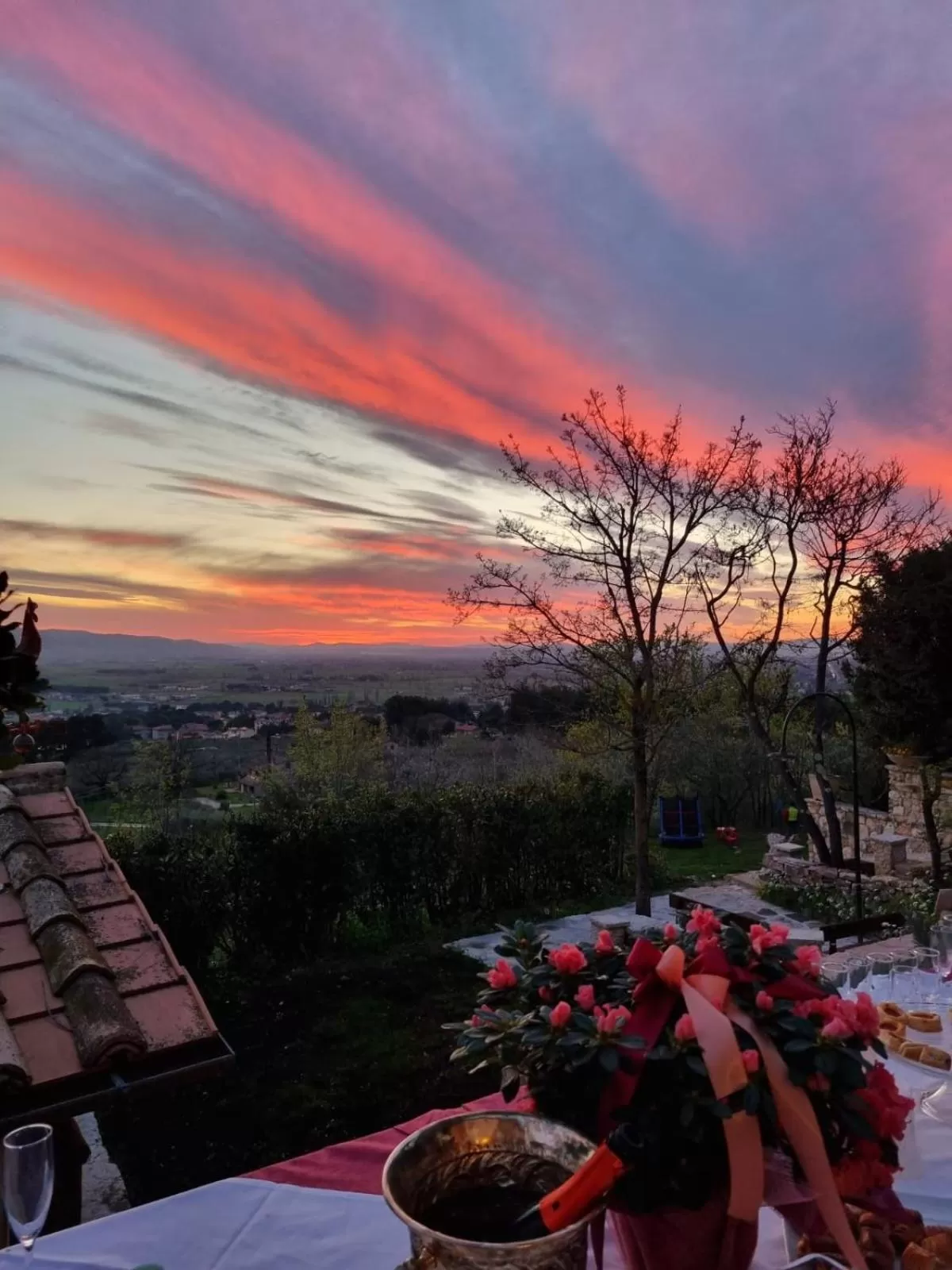 Domus Antiqua Bed & Breakfast