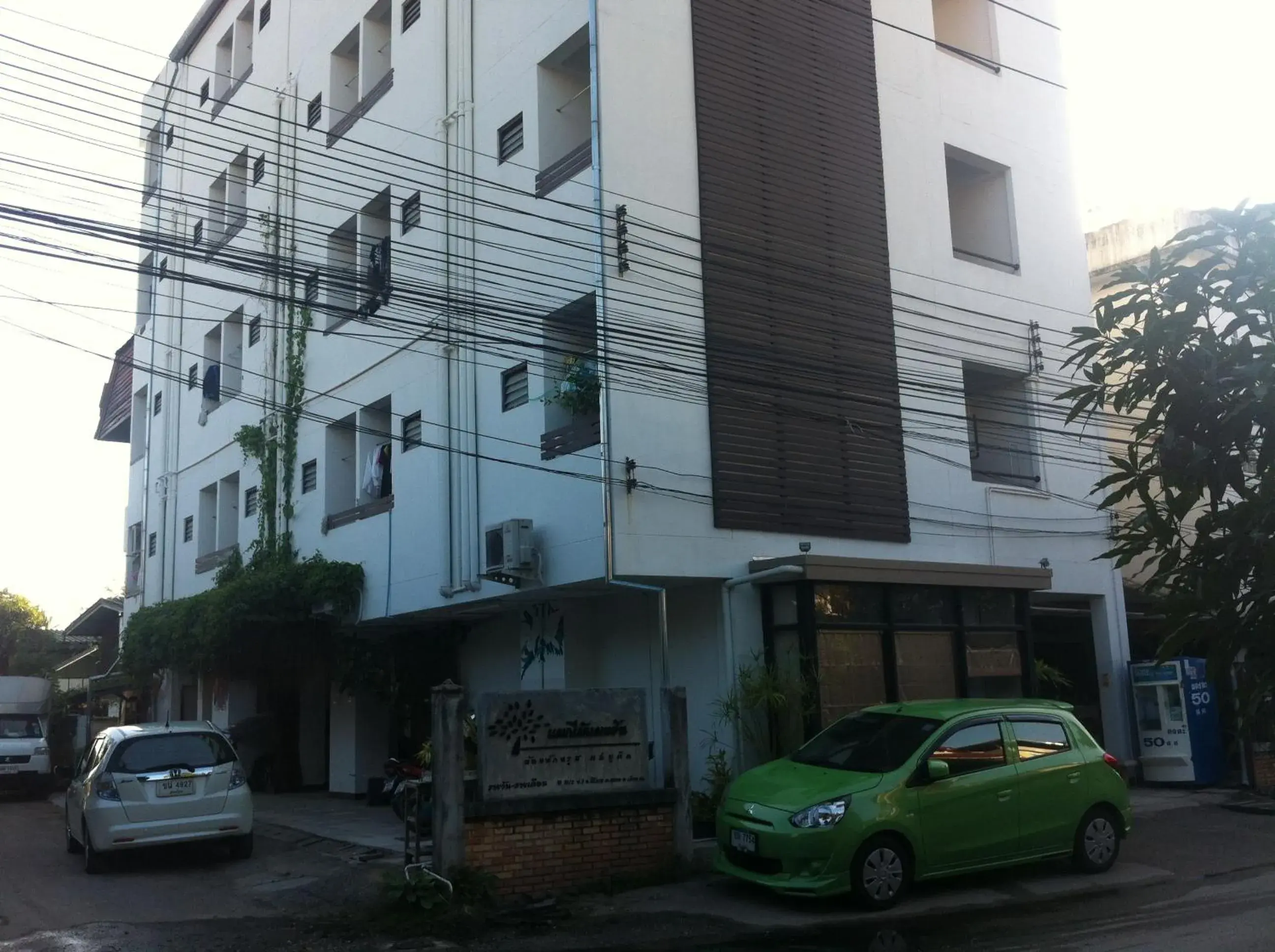 Property Building in Chiangmai Tree Hostel