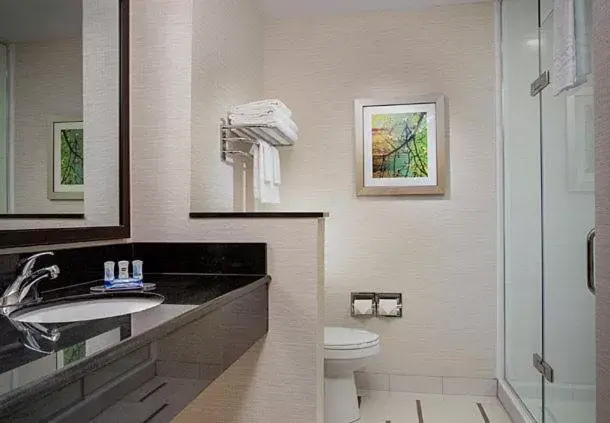Bathroom in Fairfield Inn & Suites by Marriott Detroit Canton