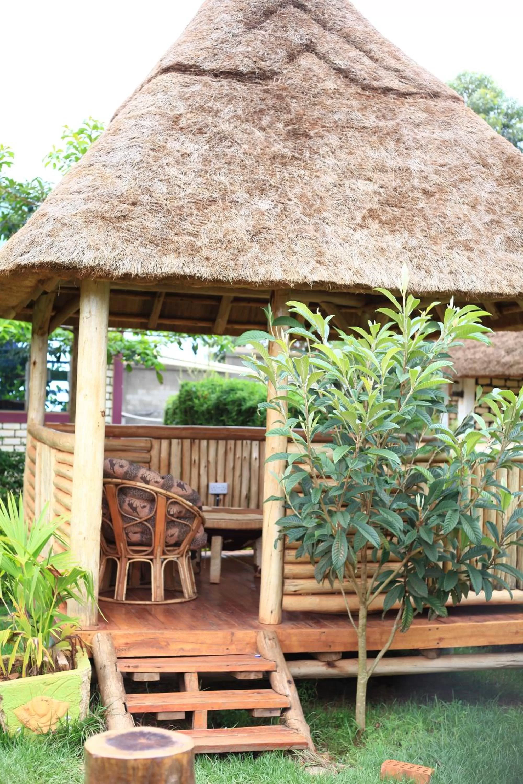 Garden in Elite Backpackers Services