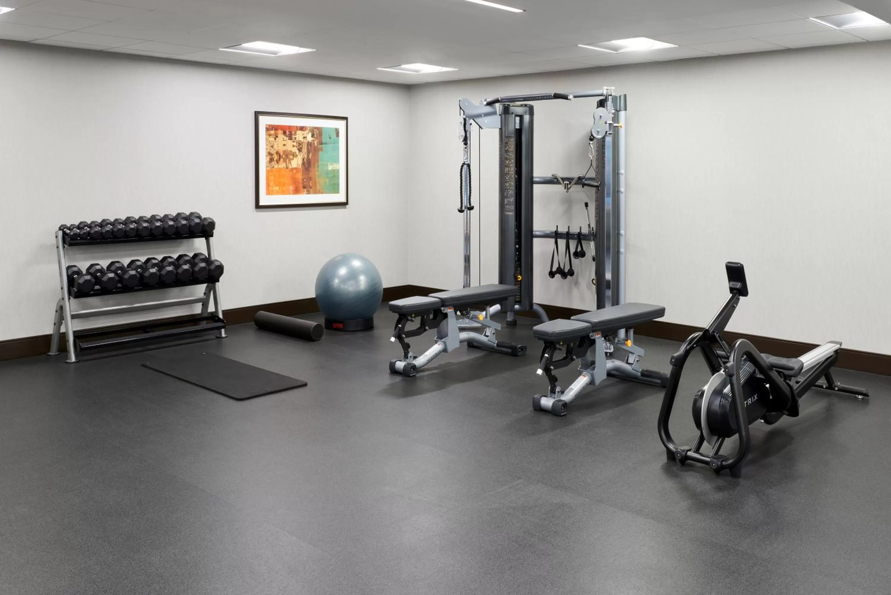 Fitness centre/facilities in Holiday Inn & Suites Philadelphia W - Drexel Hill by IHG