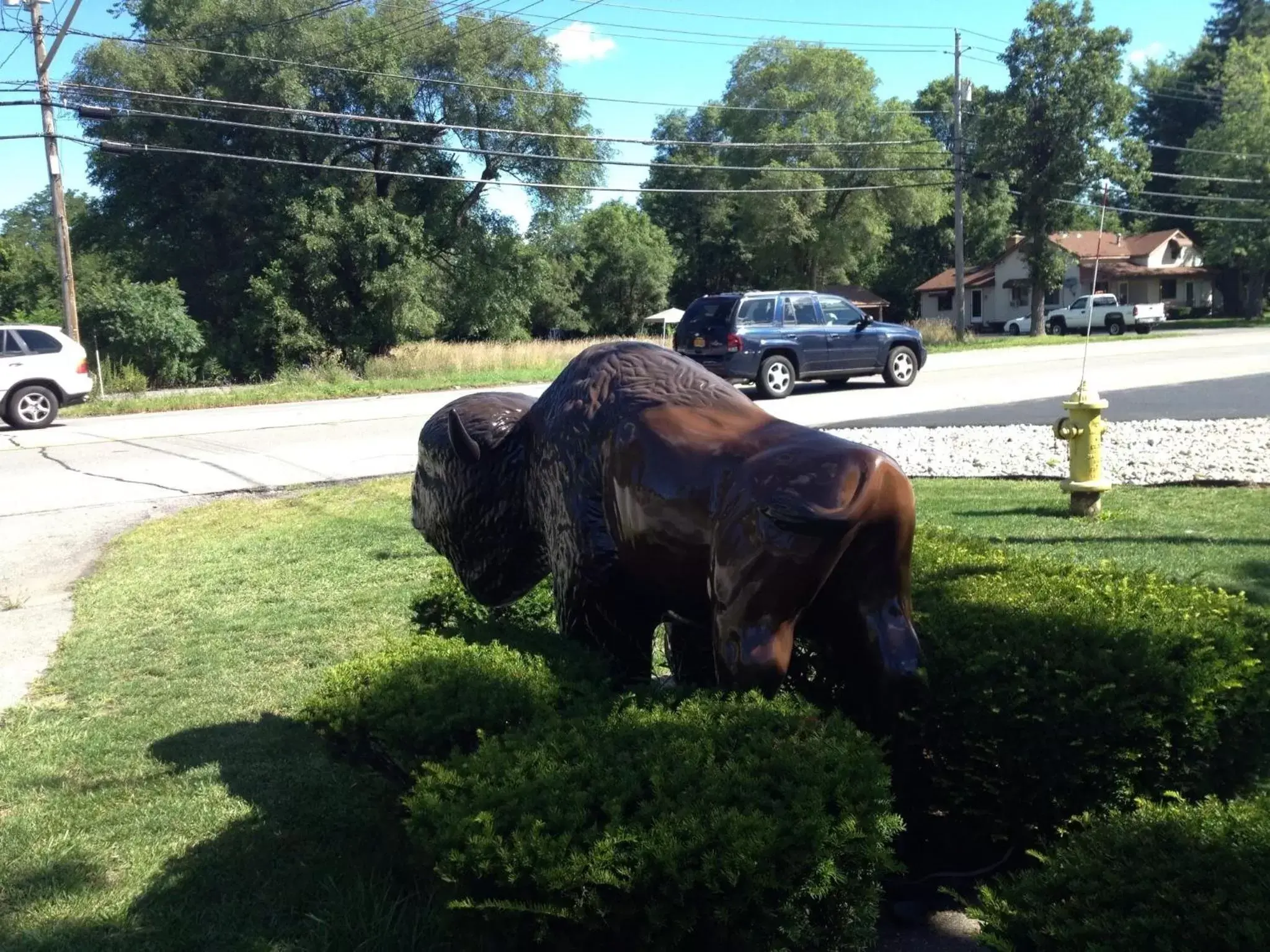 Facade/entrance, Other Animals in Clarence Inn Extended Stay