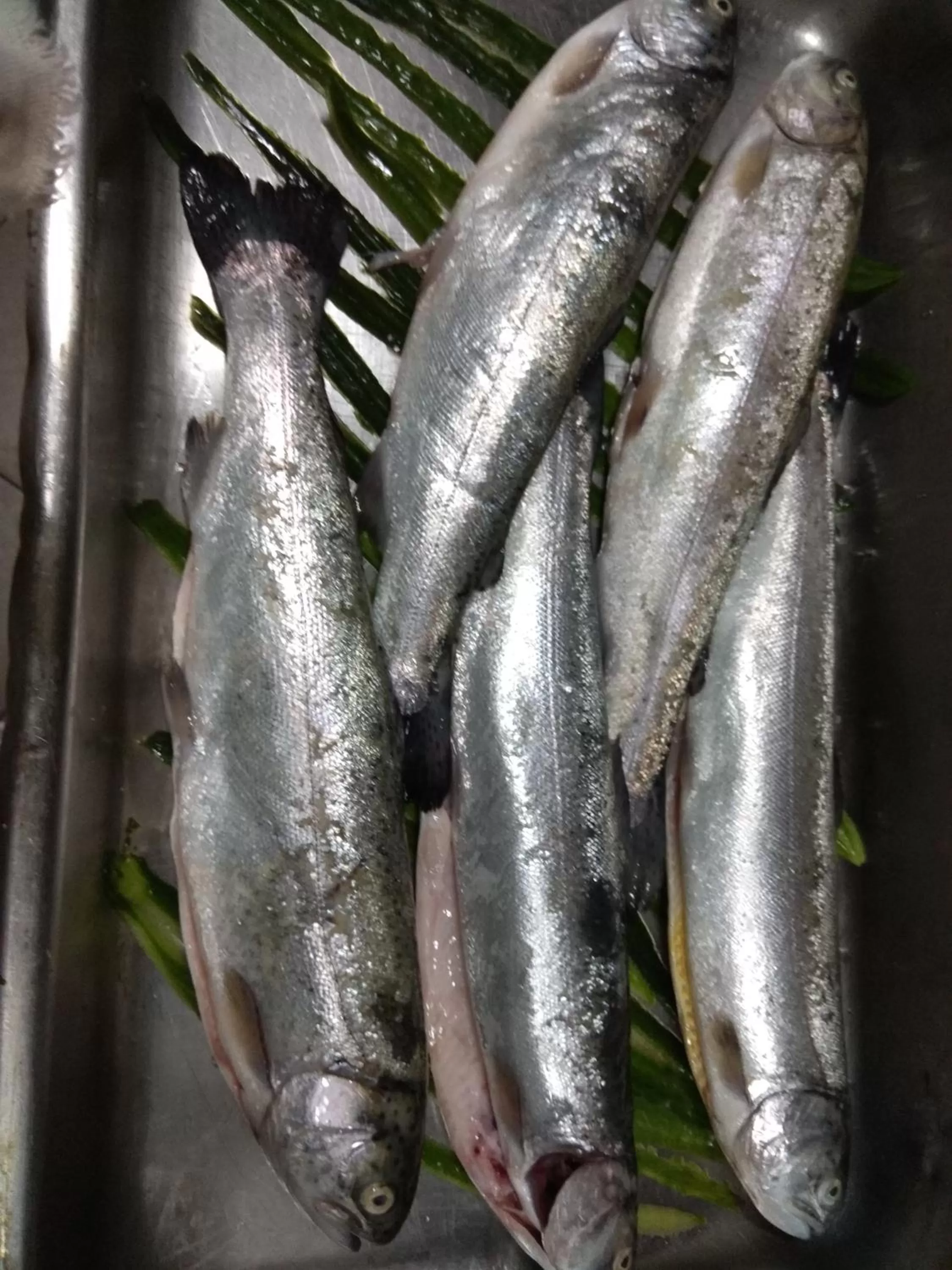 Dinner in Roots Hotel and Wine Bar