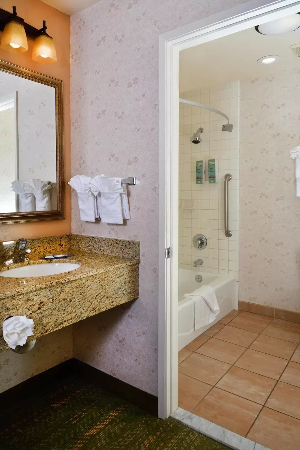 Bathroom in Lamplighter Inn & Suites at SDSU