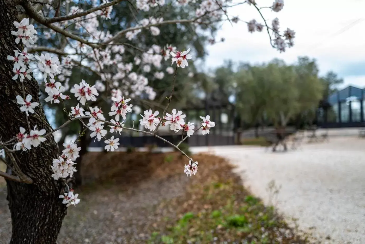 Relais Trulli Le Icone