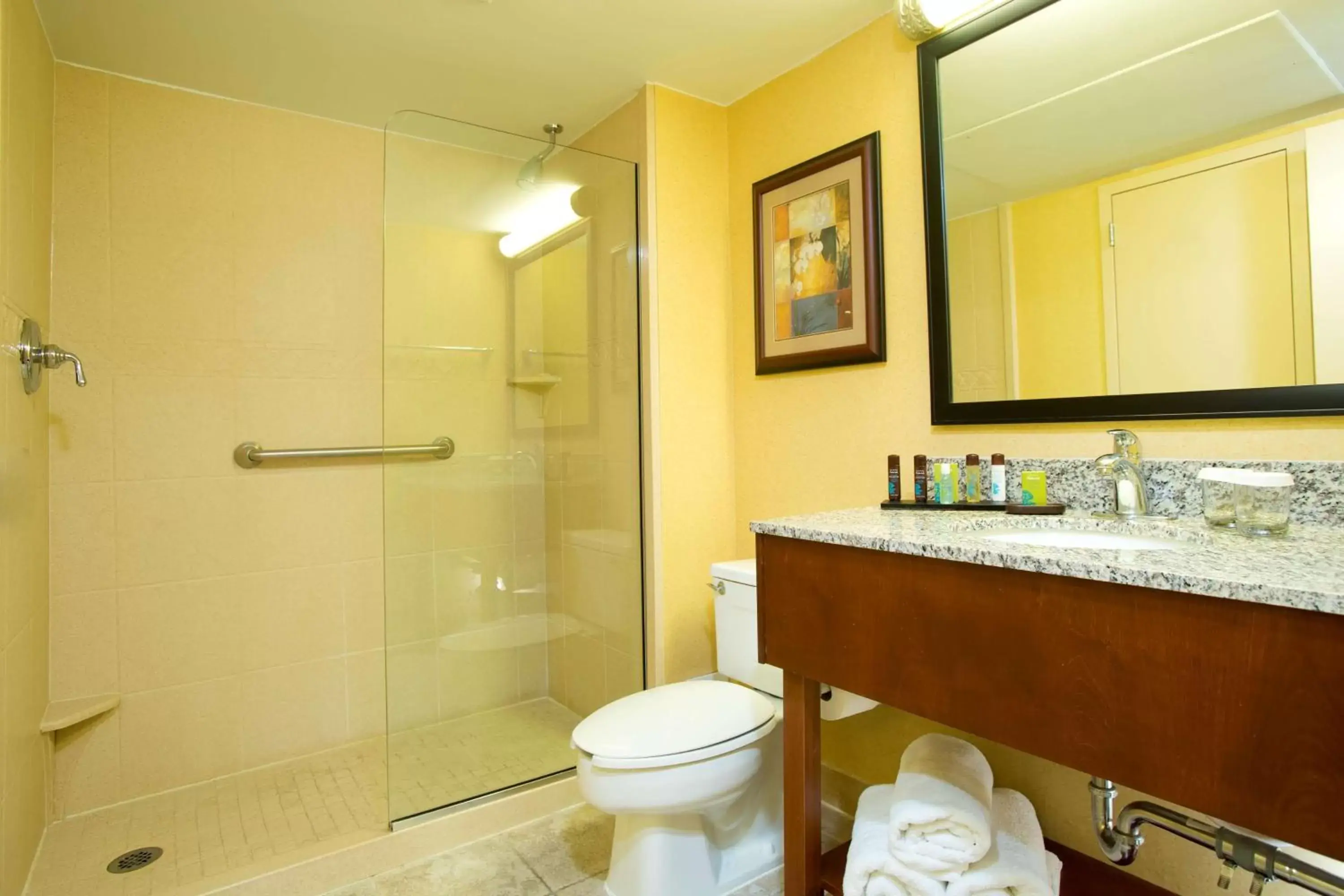 Bathroom in Embassy Suites by Hilton Tulsa I-44